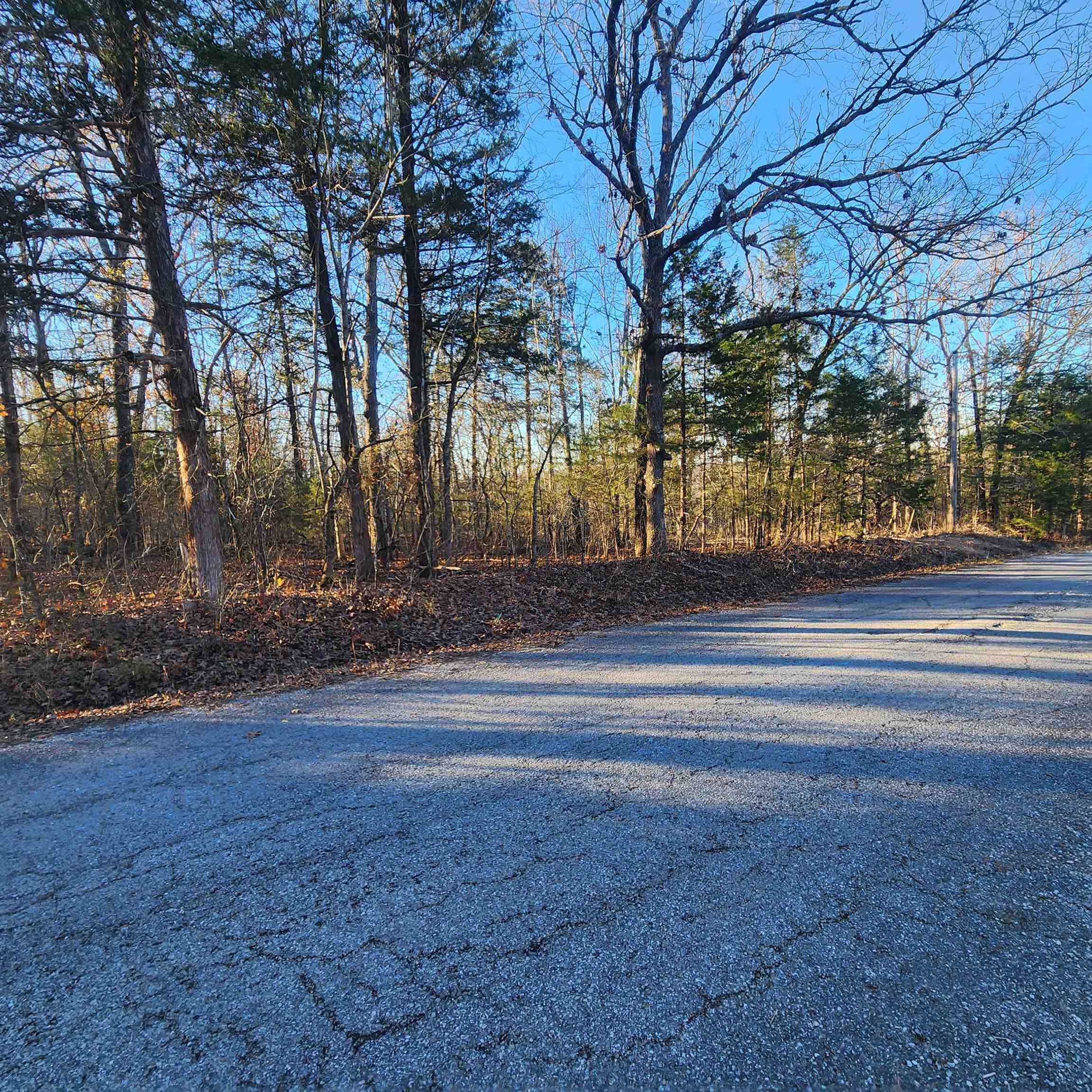 1505  Riverview  Horseshoe Bend, AR