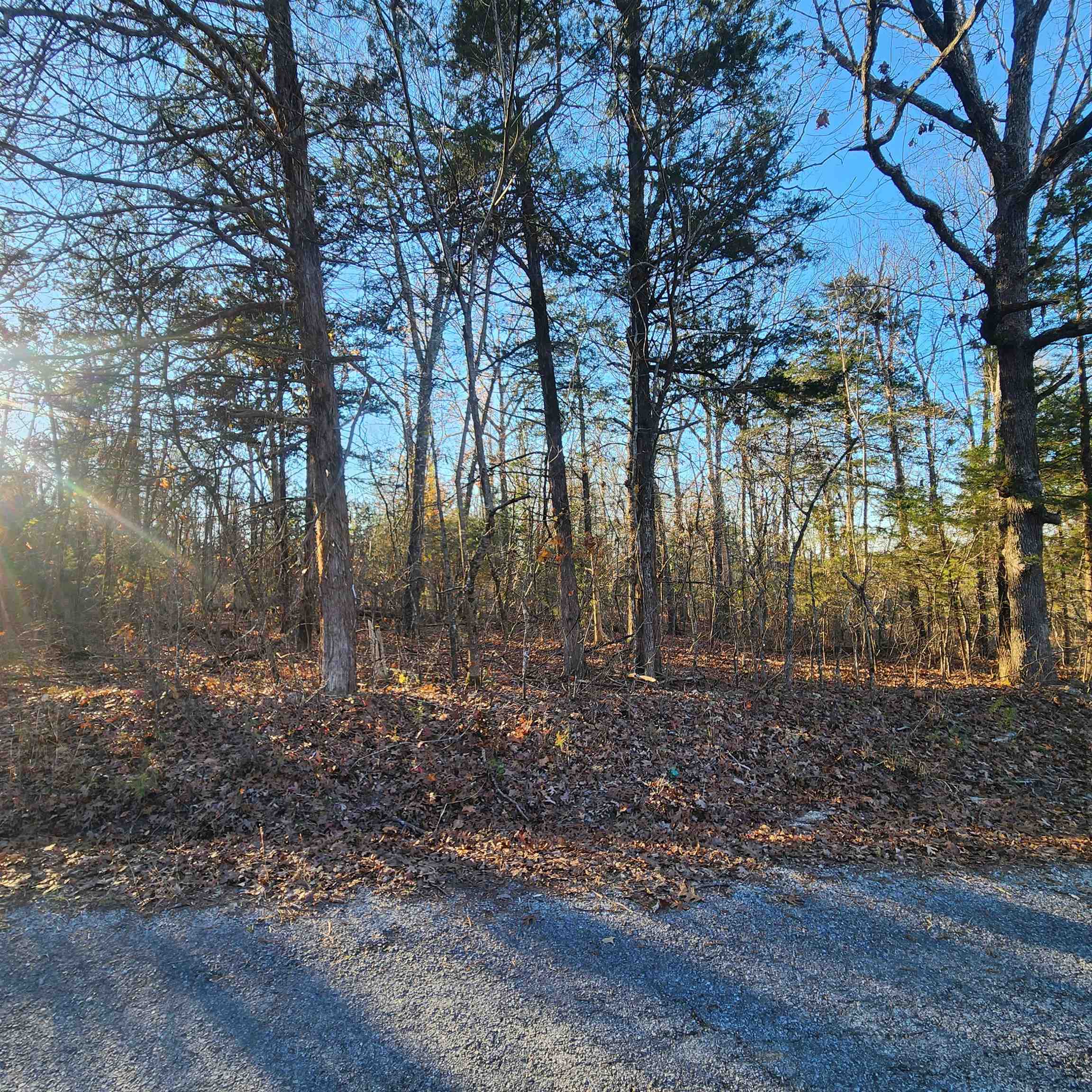 1505  Riverview  Horseshoe Bend, AR
