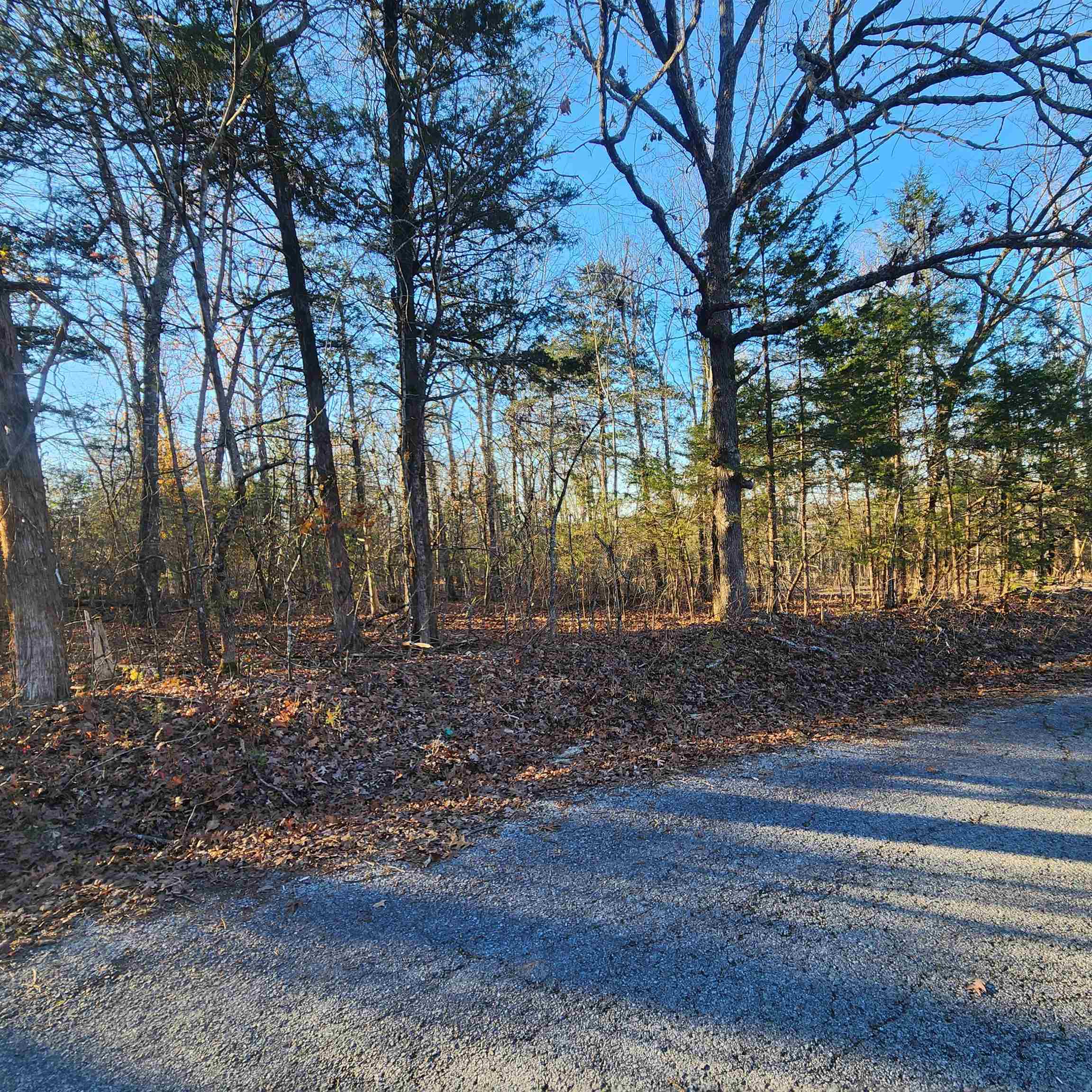 1505  Riverview  Horseshoe Bend, AR