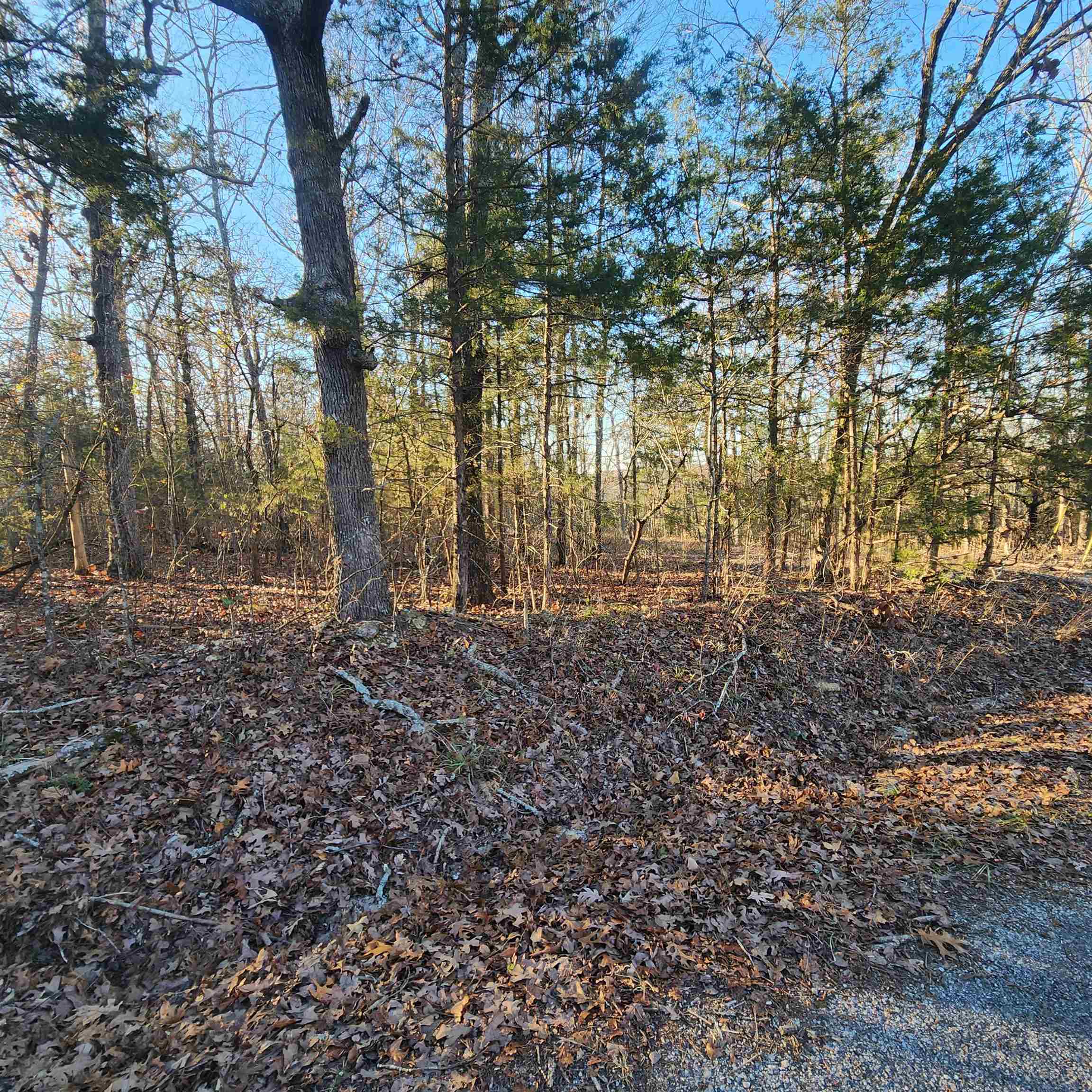 1505  Riverview  Horseshoe Bend, AR