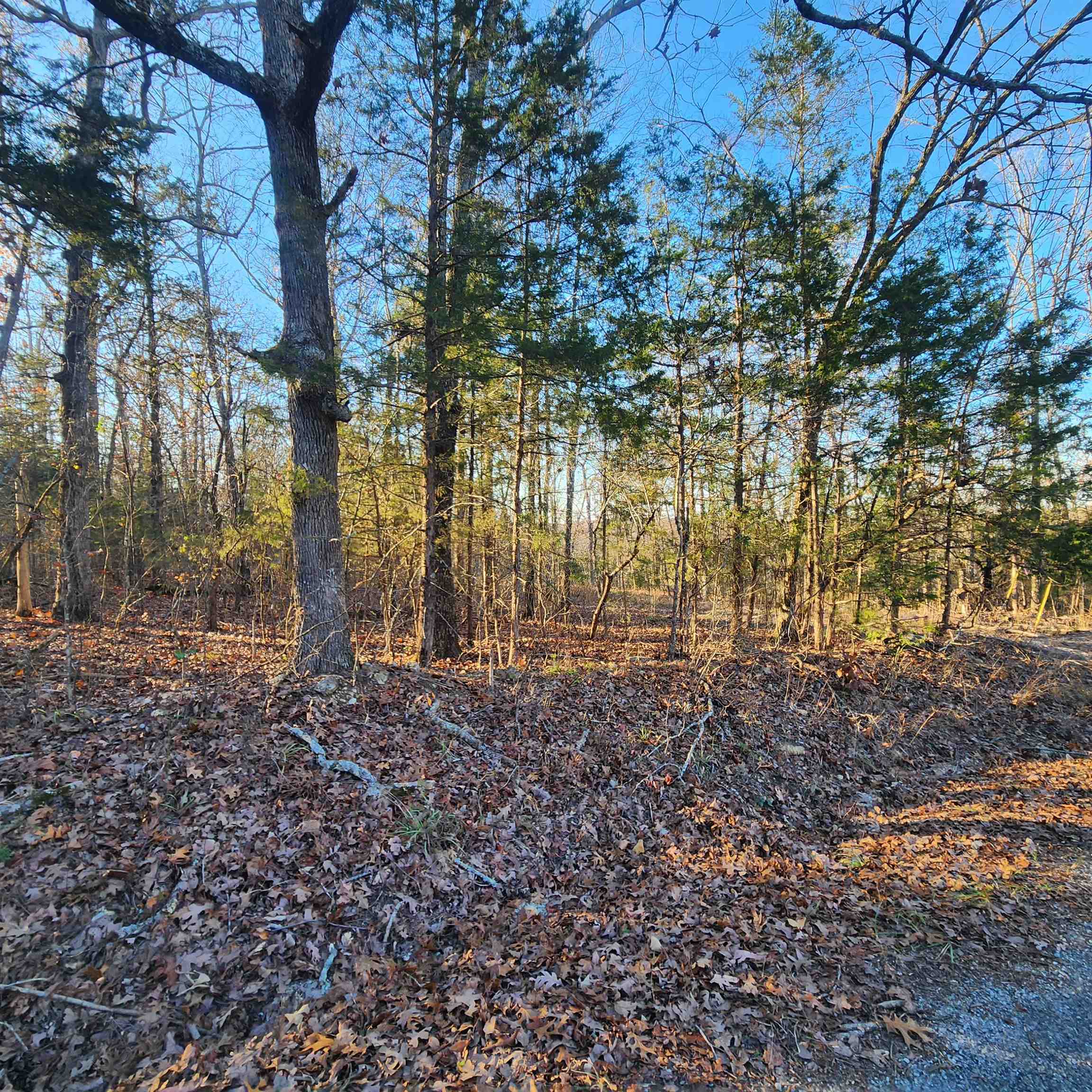 1505  Riverview  Horseshoe Bend, AR