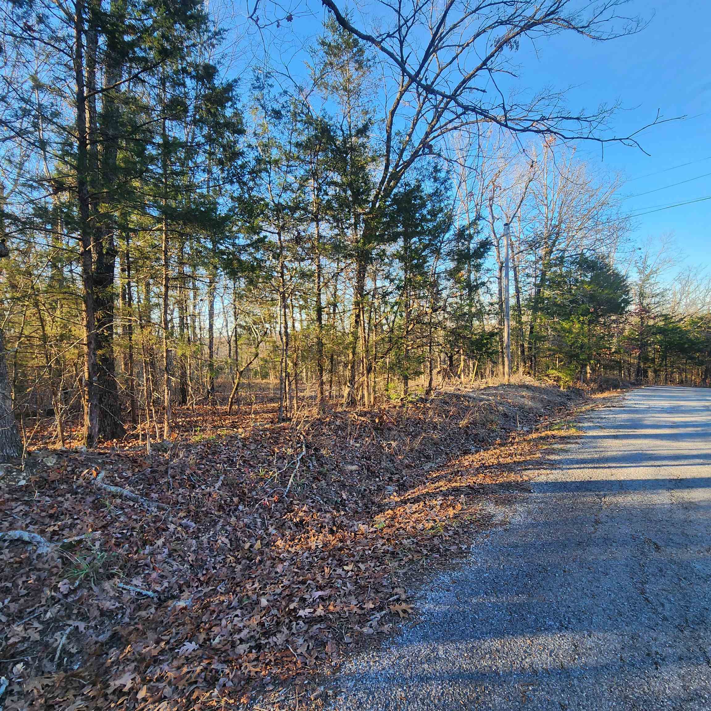 1505  Riverview  Horseshoe Bend, AR