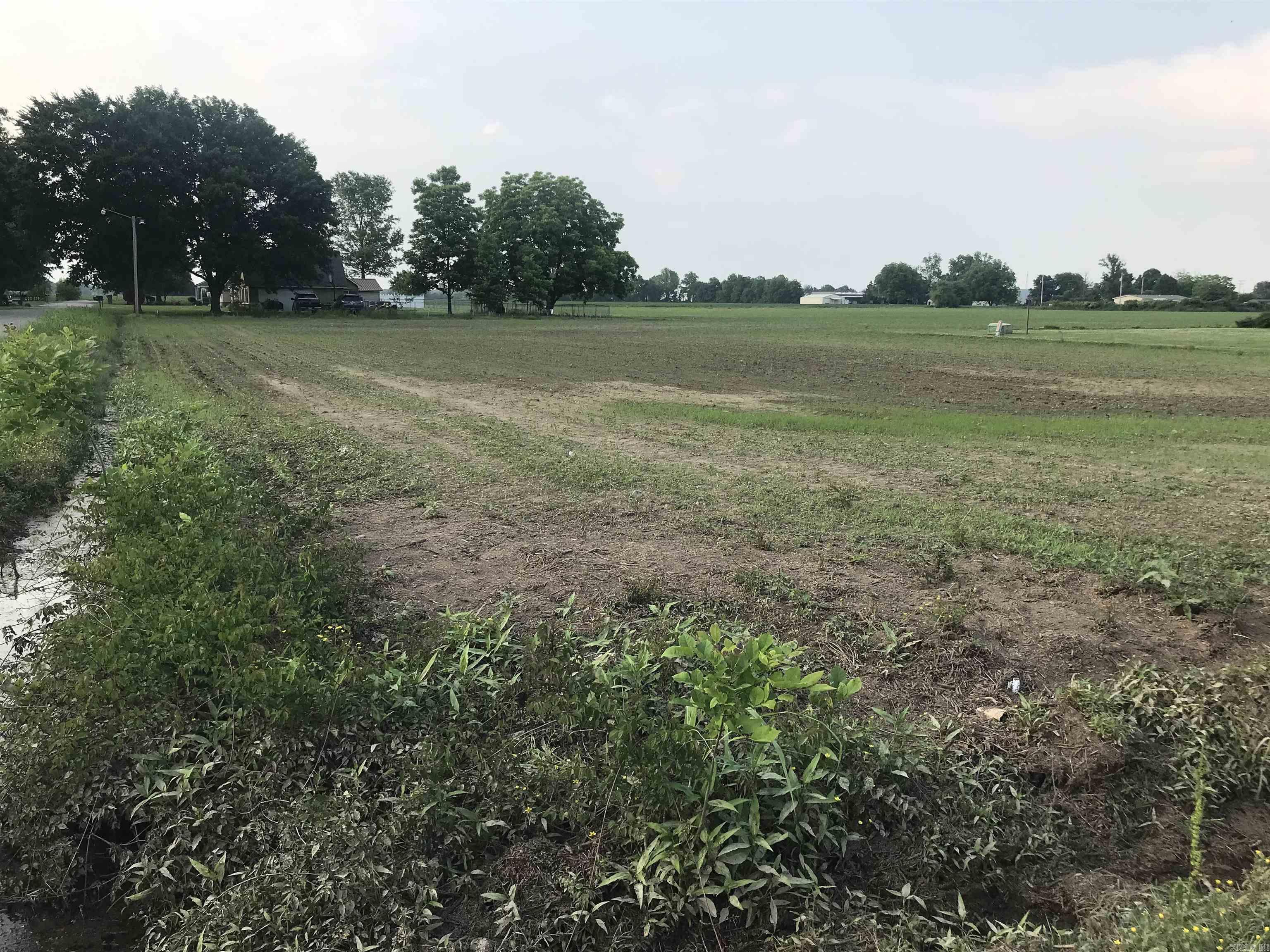 Lot 1  Debra  Blytheville, AR