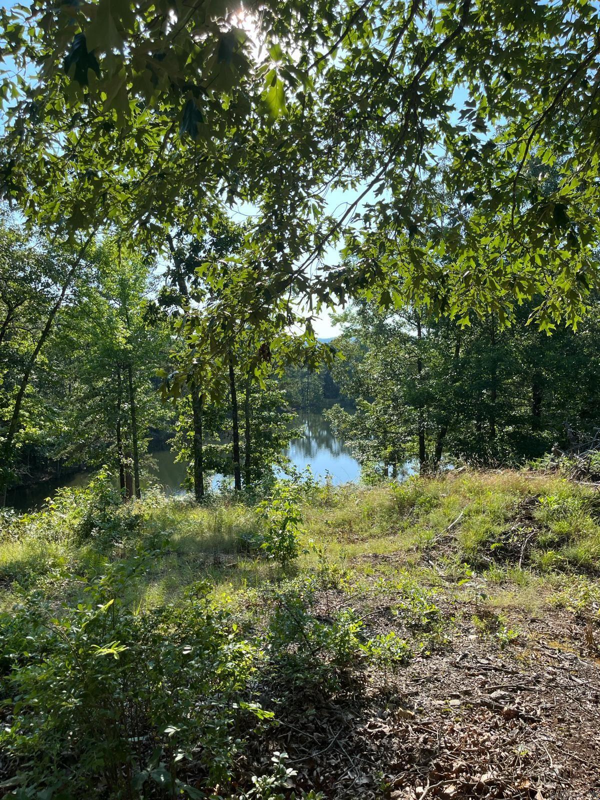 461  Walnut Valley  Hot Springs, AR