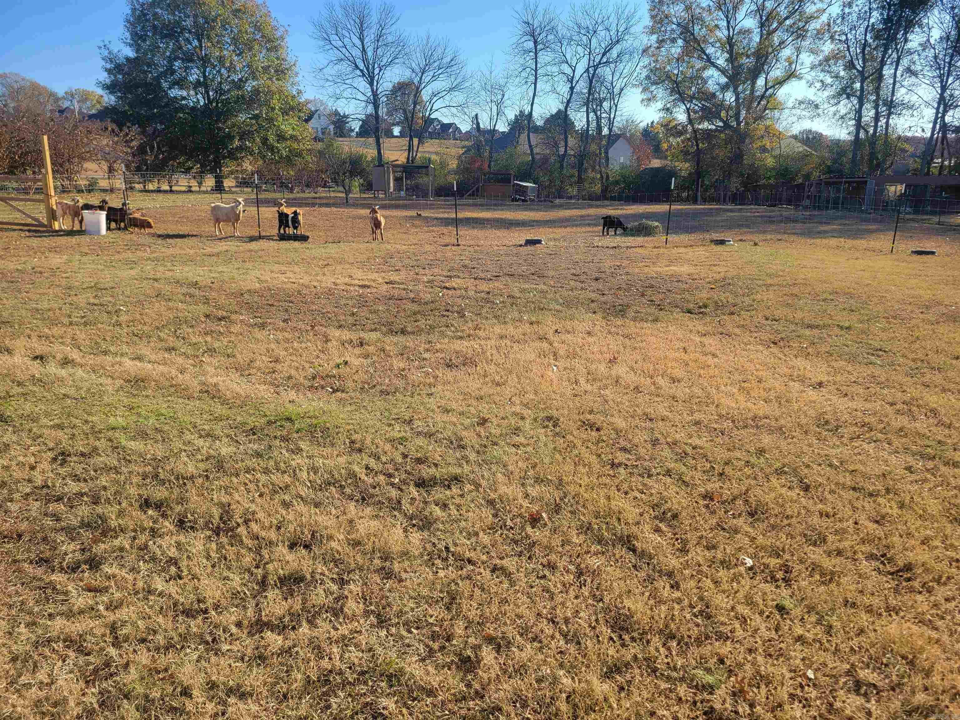 837  Swinging Bridge  Beebe, AR
