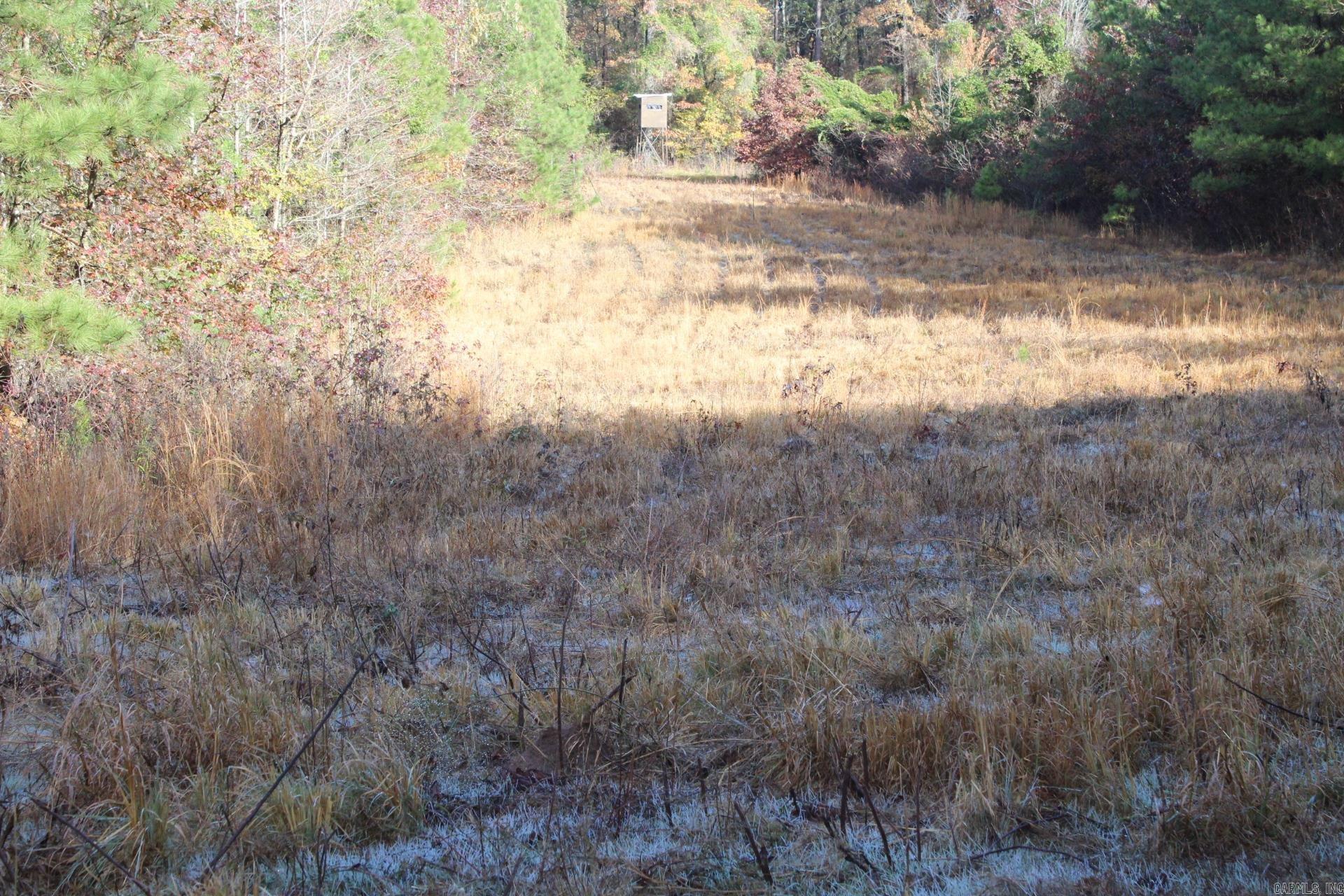   Hickory Grove  Nashville, AR