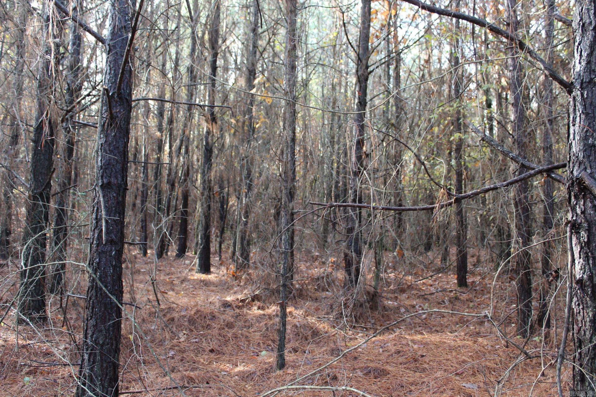   Hickory Grove  Nashville, AR