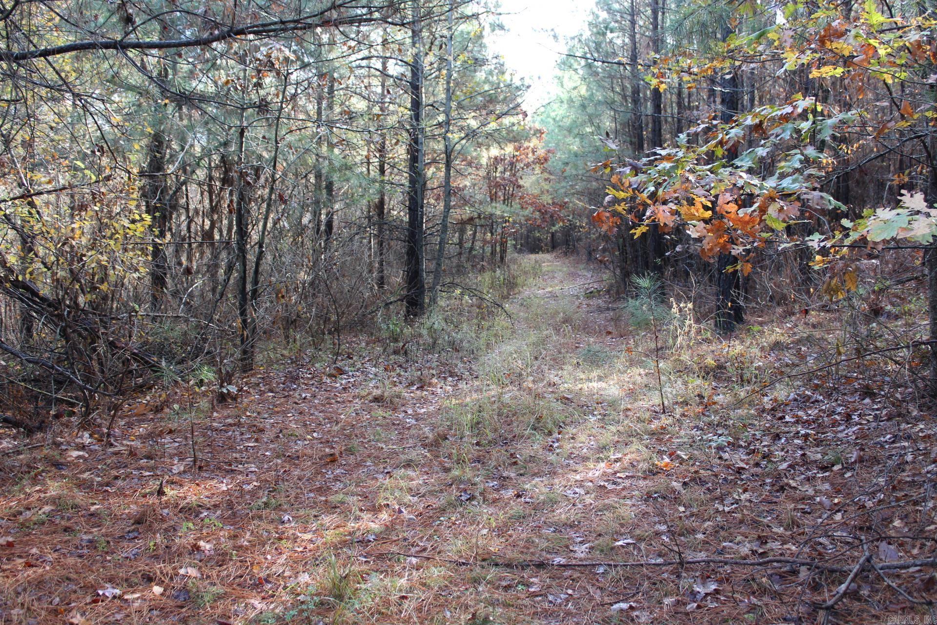   Hickory Grove  Nashville, AR