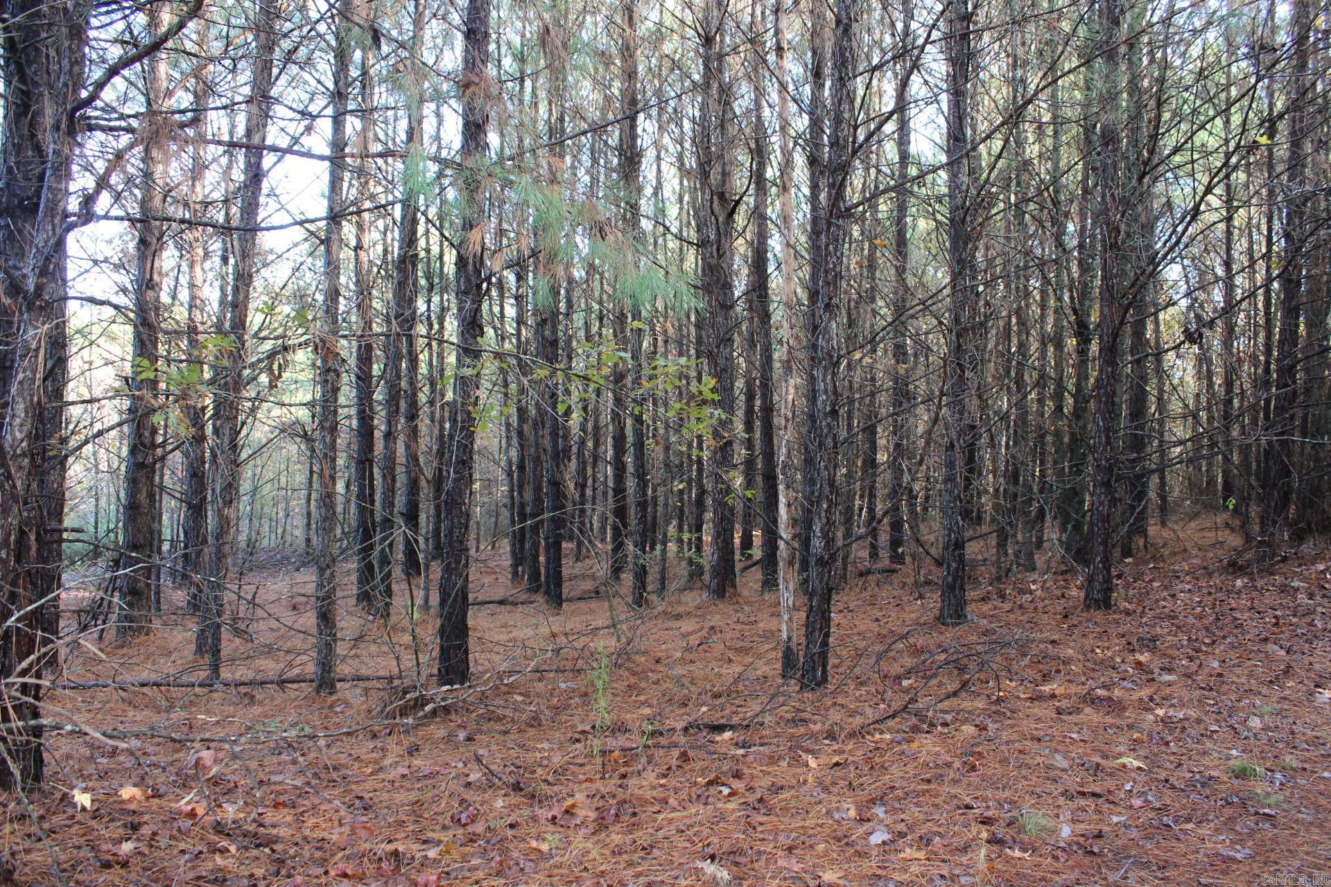   Hickory Grove  Nashville, AR