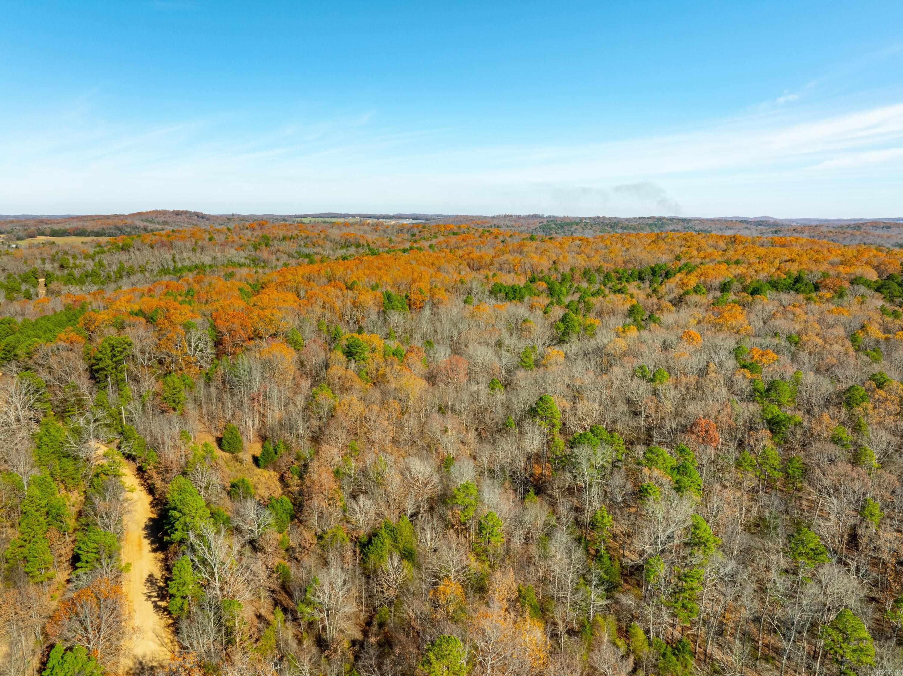 531  Peter Martin Hill Rd  Cave City, AR