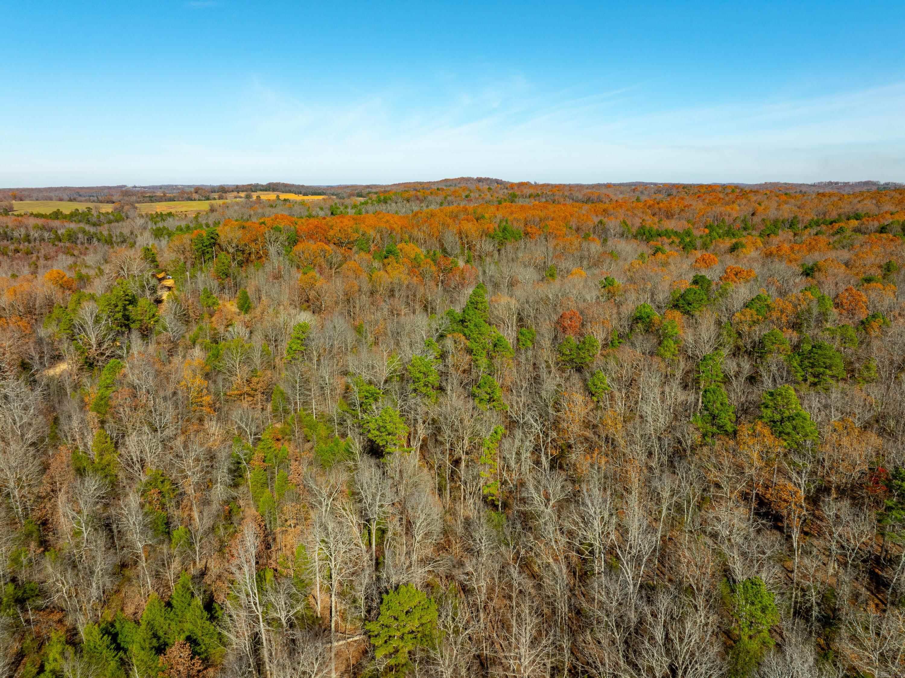 531  Peter Martin Hill Rd  Cave City, AR