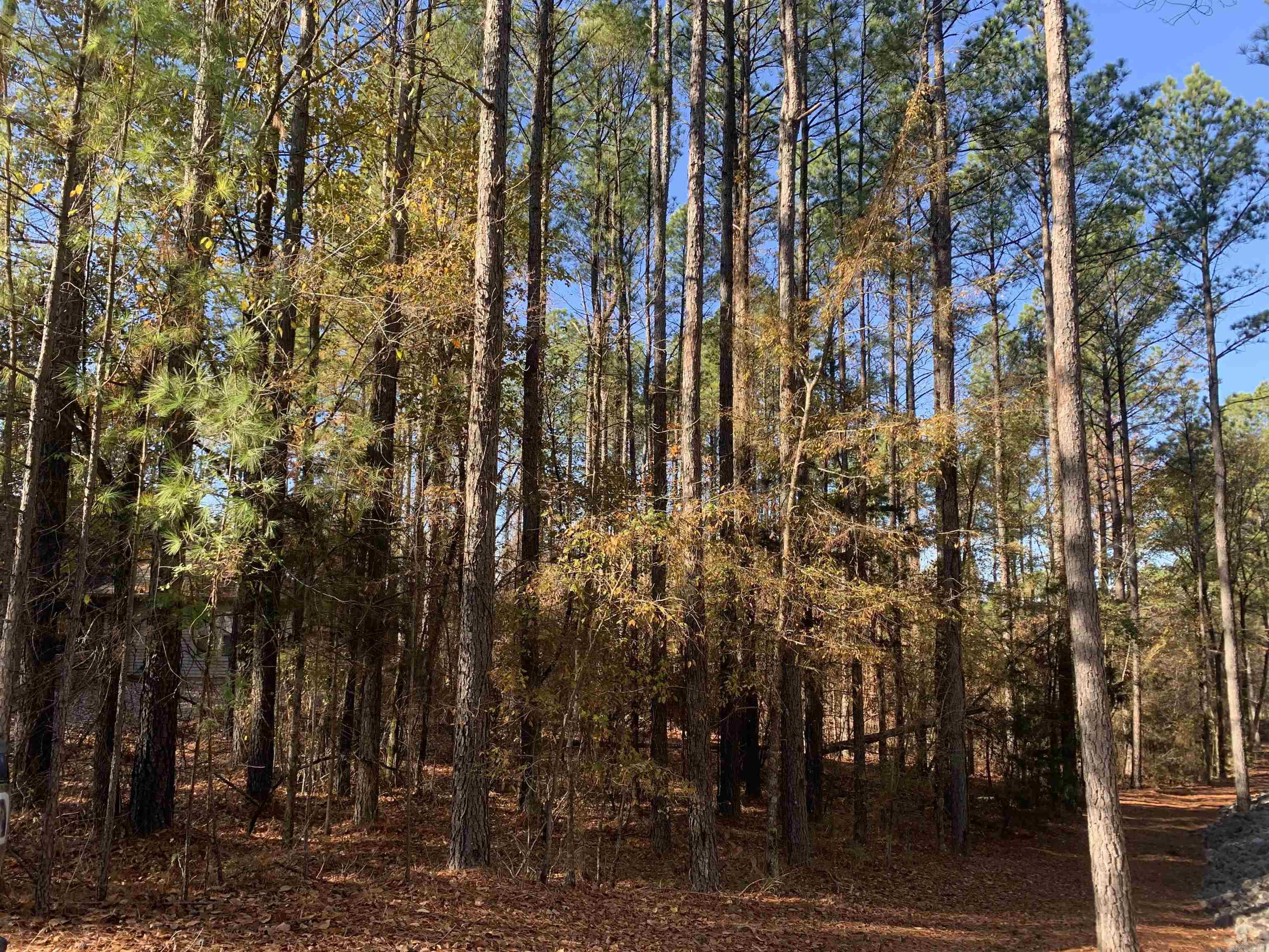 25  Victoria  Hot Springs Village, AR