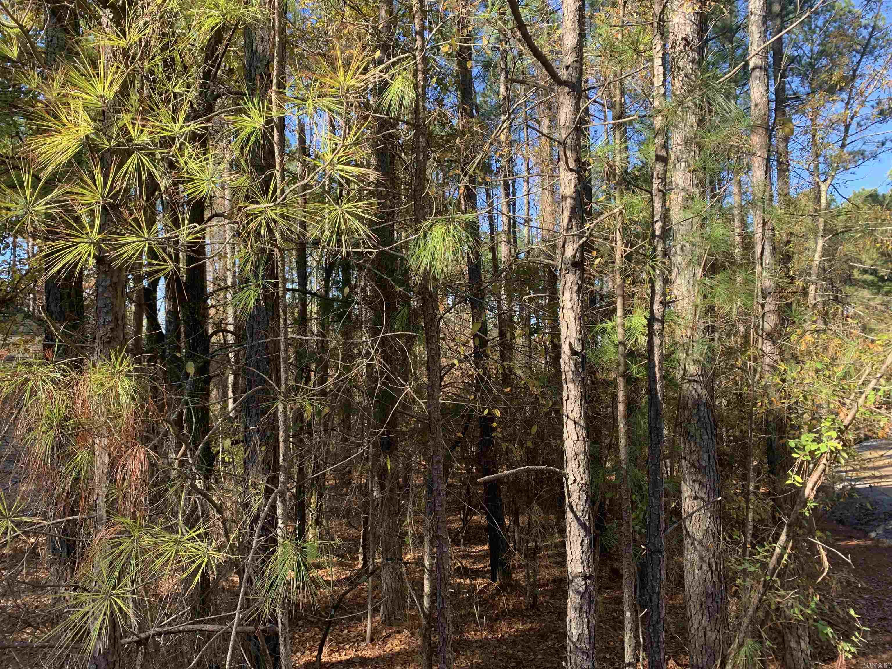 25  Victoria  Hot Springs Village, AR