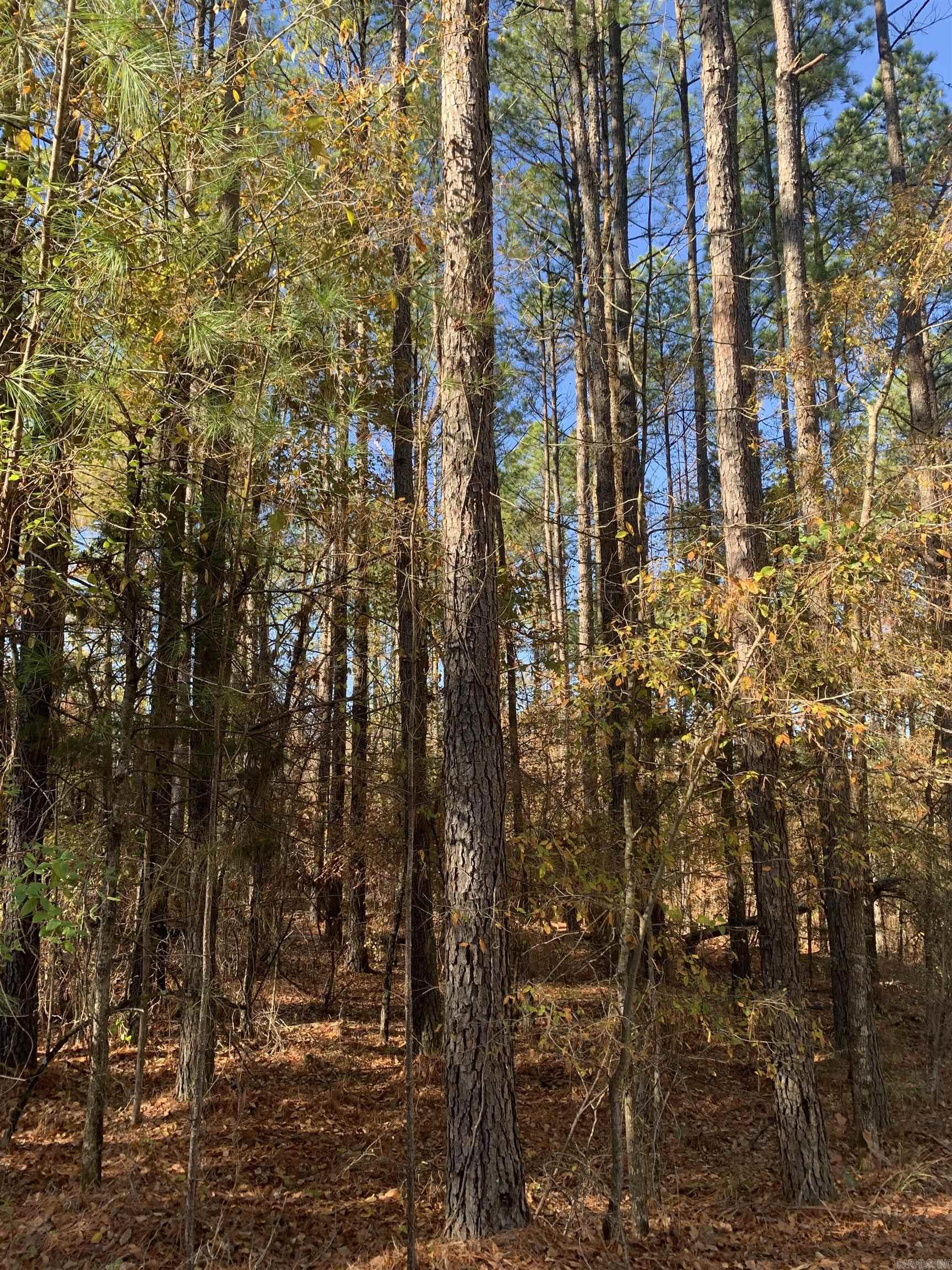 25  Victoria  Hot Springs Village, AR