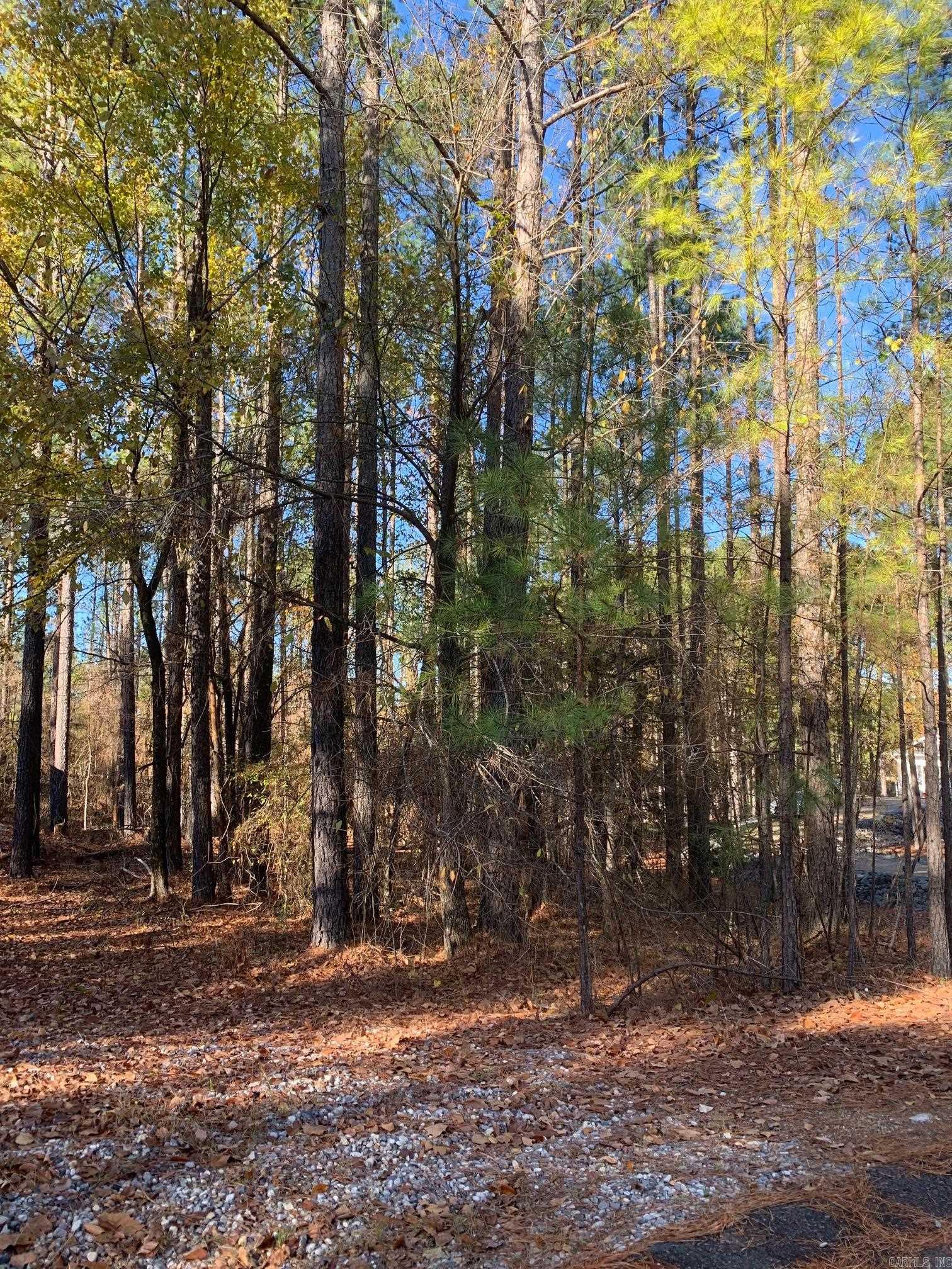 25  Victoria  Hot Springs Village, AR