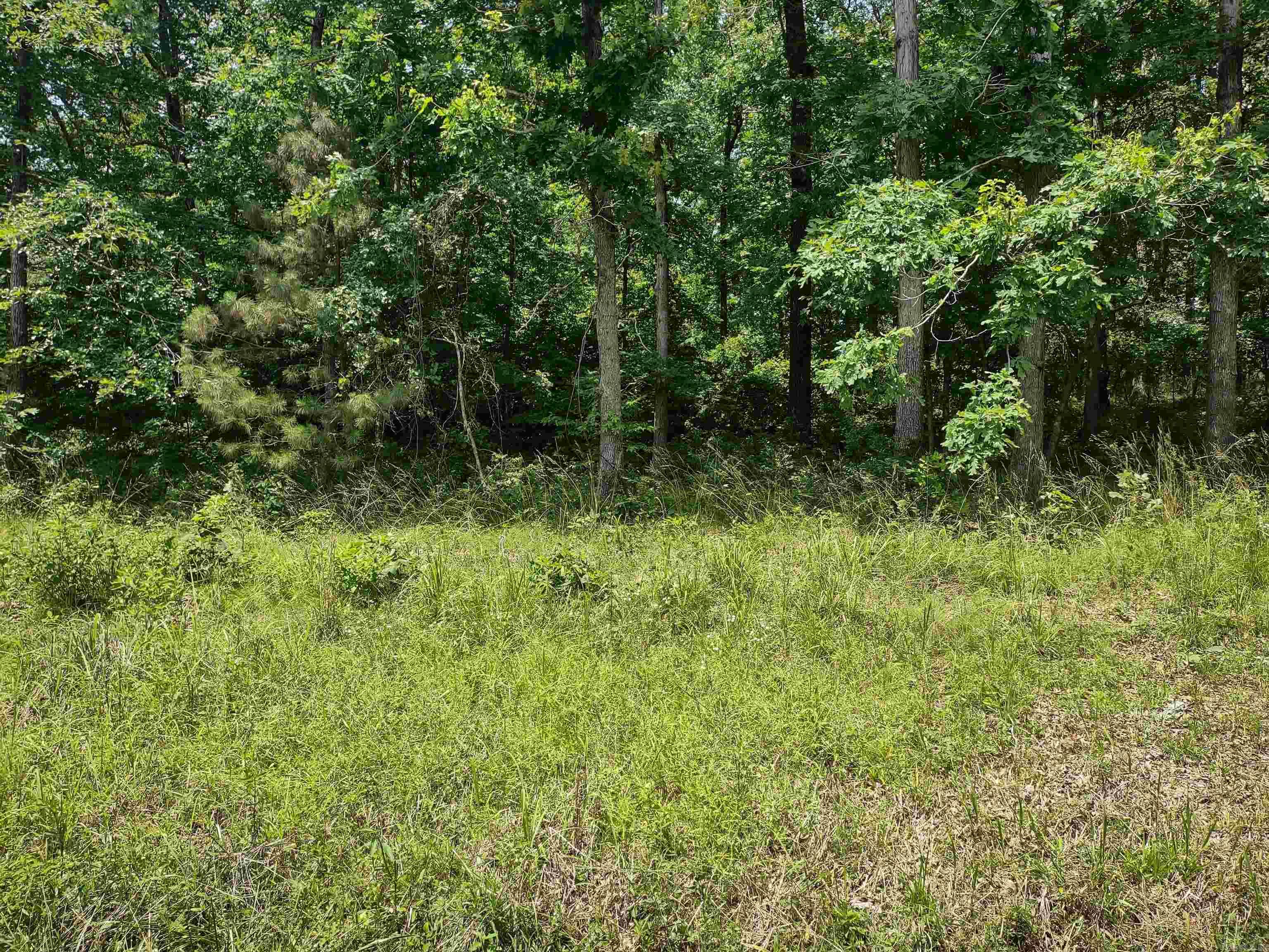 Lot 1  Hartura  Hot Springs Village, AR