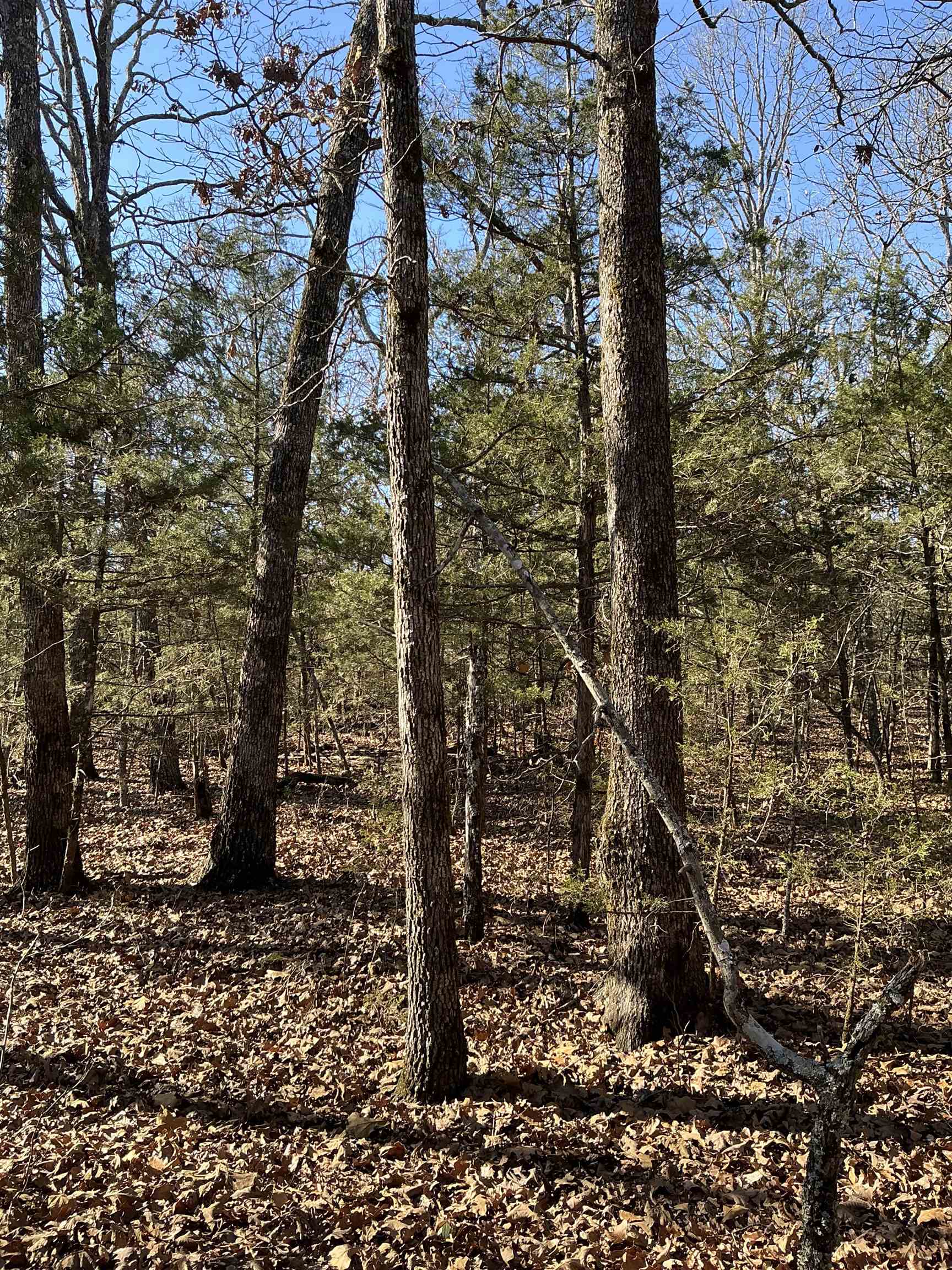 TBD  Wolf Hollow  Ash Flat, AR