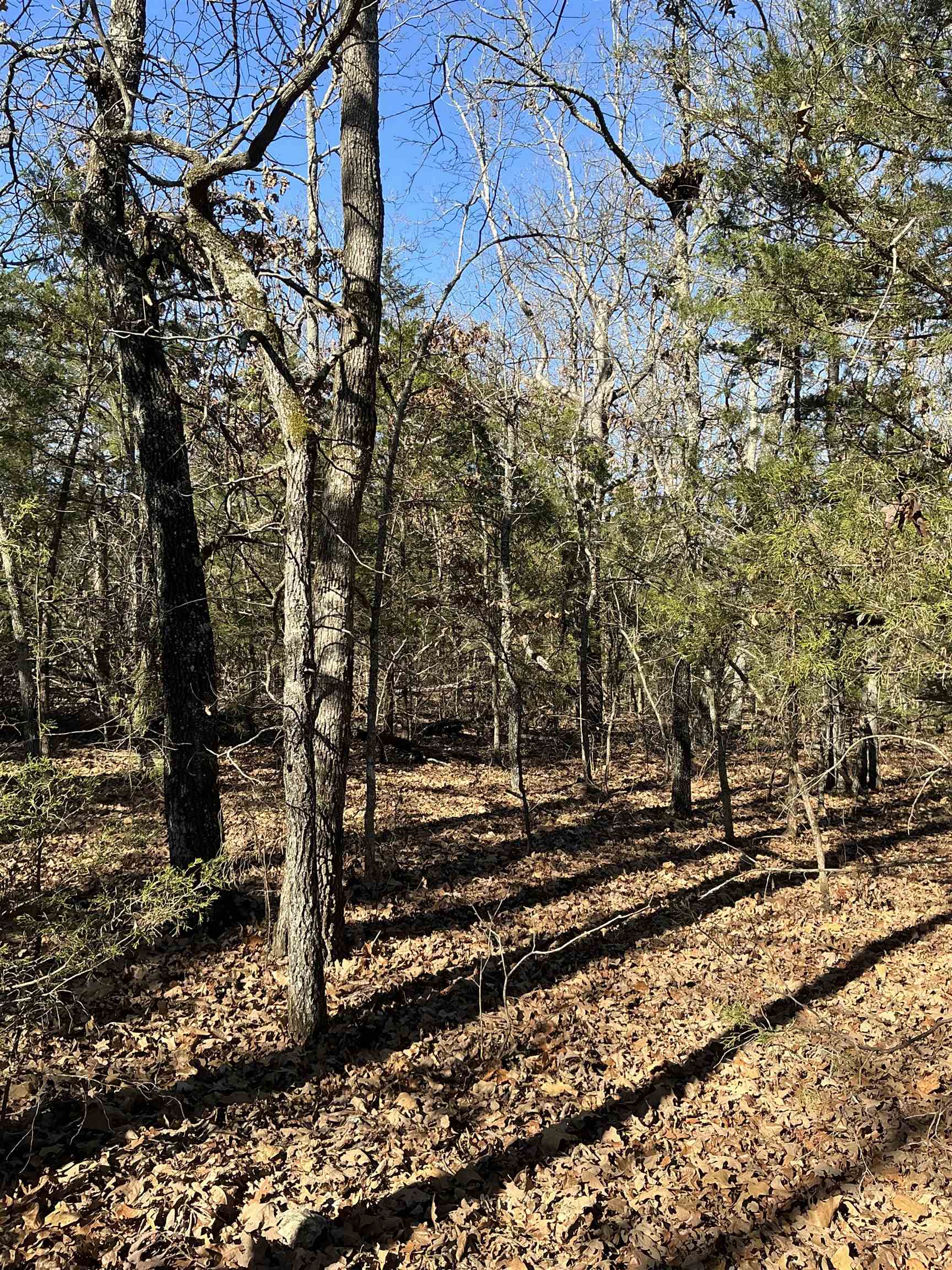 TBD  Wolf Hollow  Ash Flat, AR