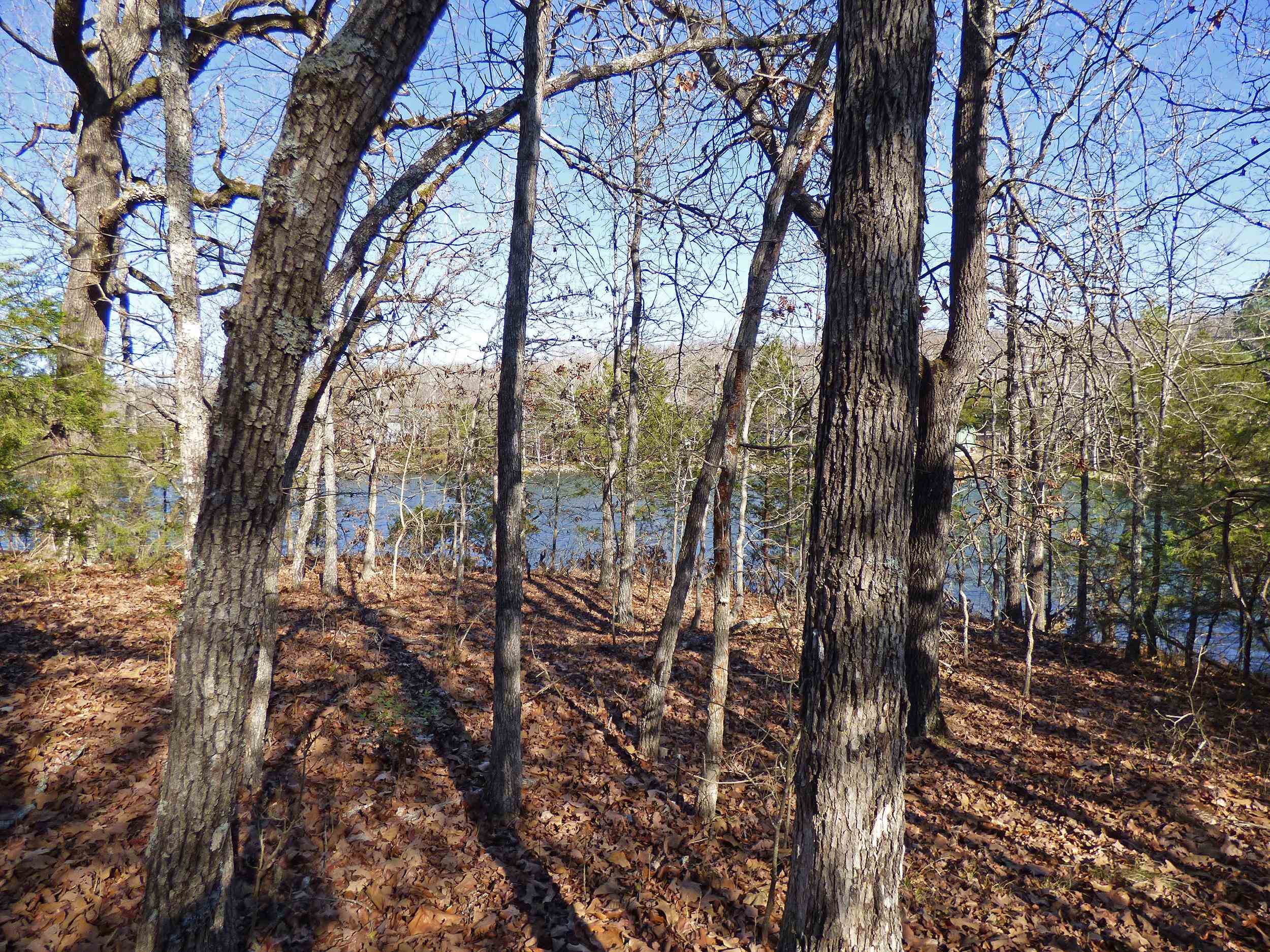 52  Isleta  Cherokee Village, AR