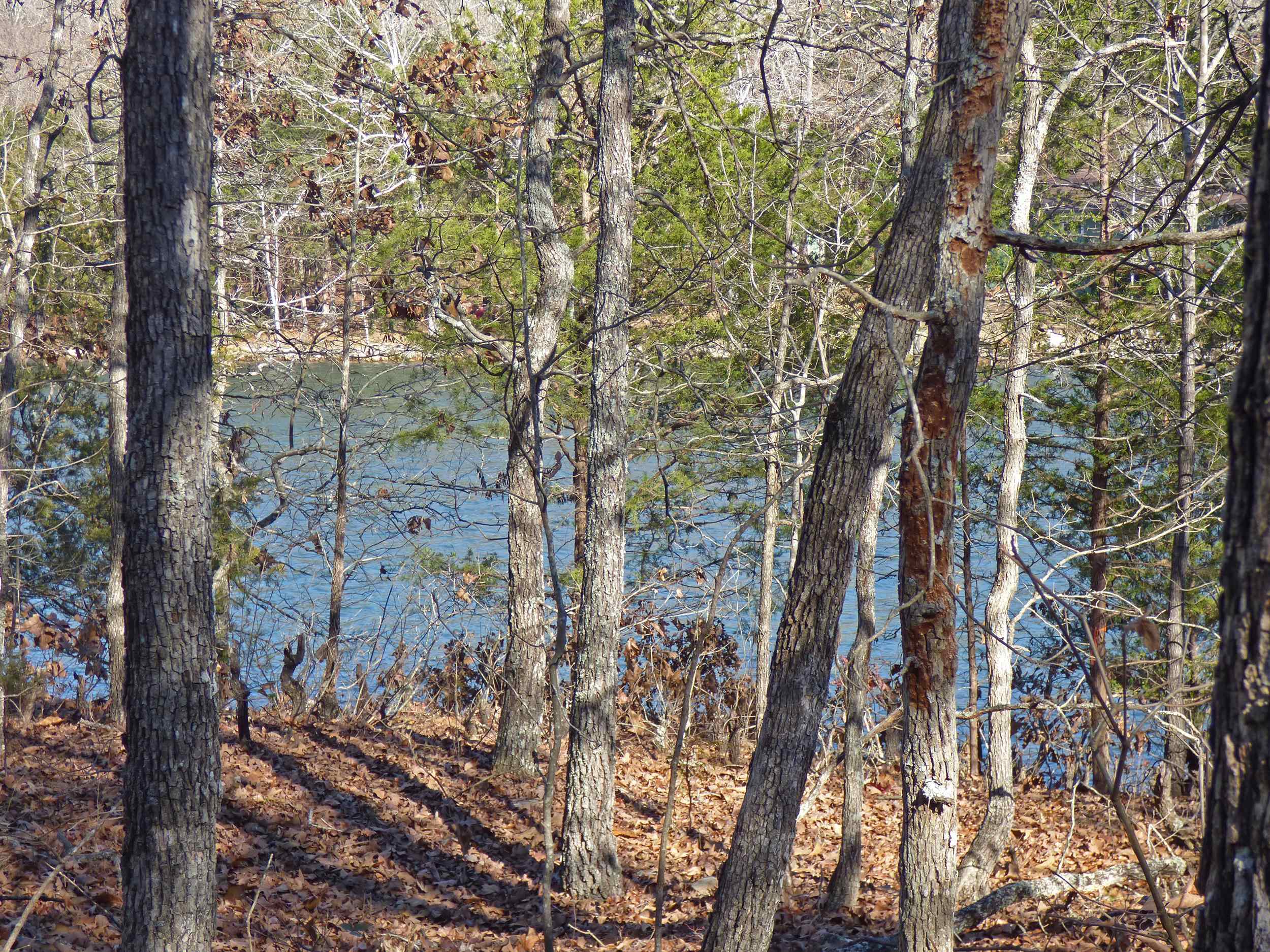 52  Isleta  Cherokee Village, AR