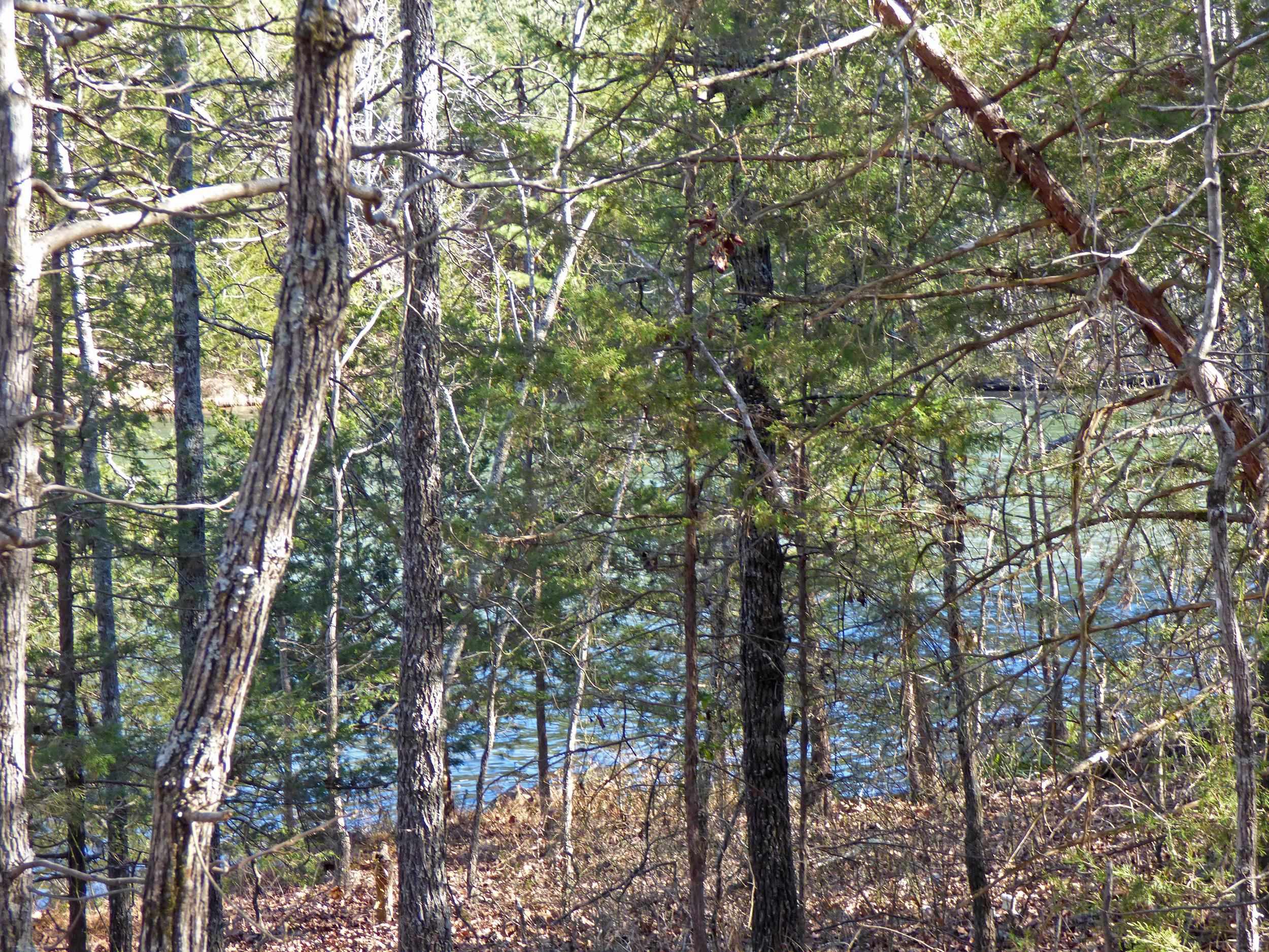 52  Isleta  Cherokee Village, AR