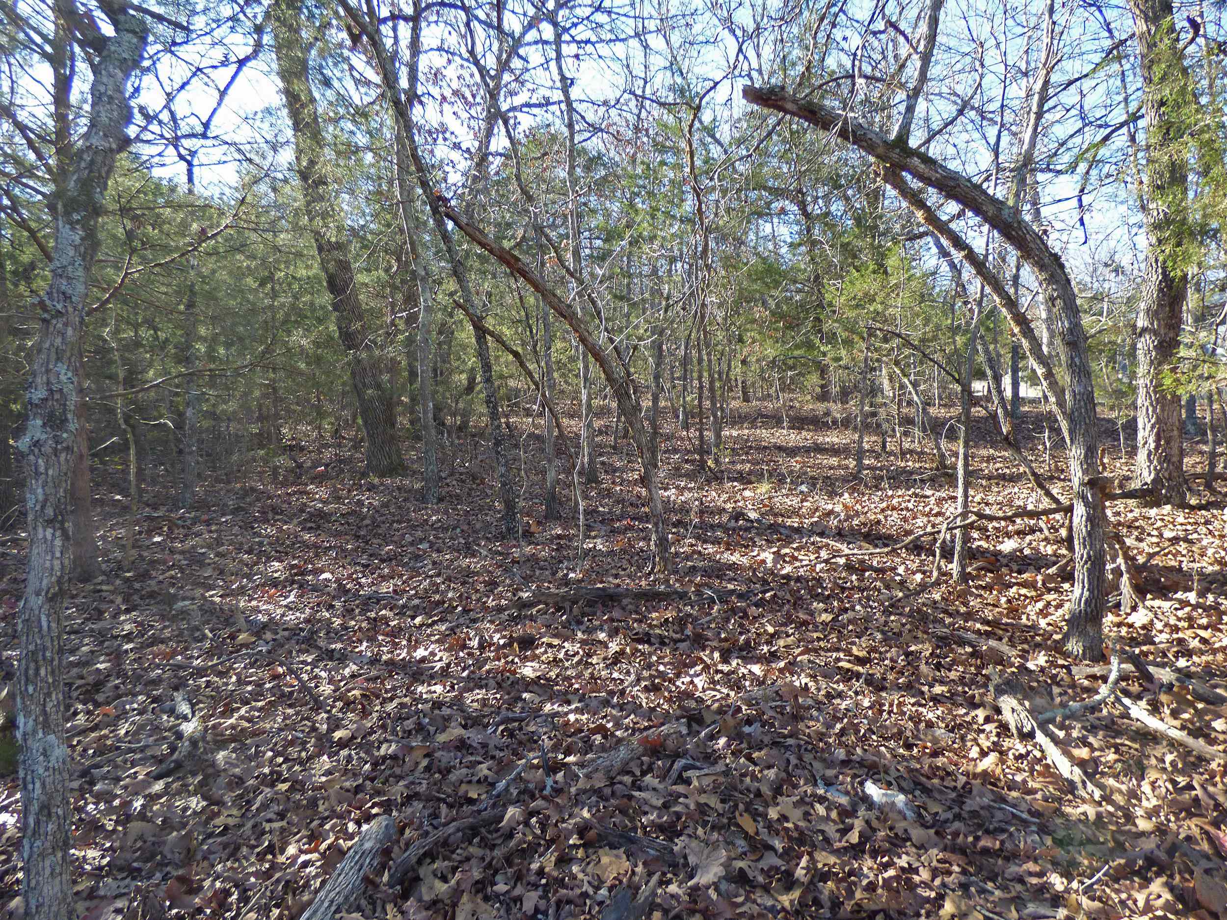 52  Isleta  Cherokee Village, AR