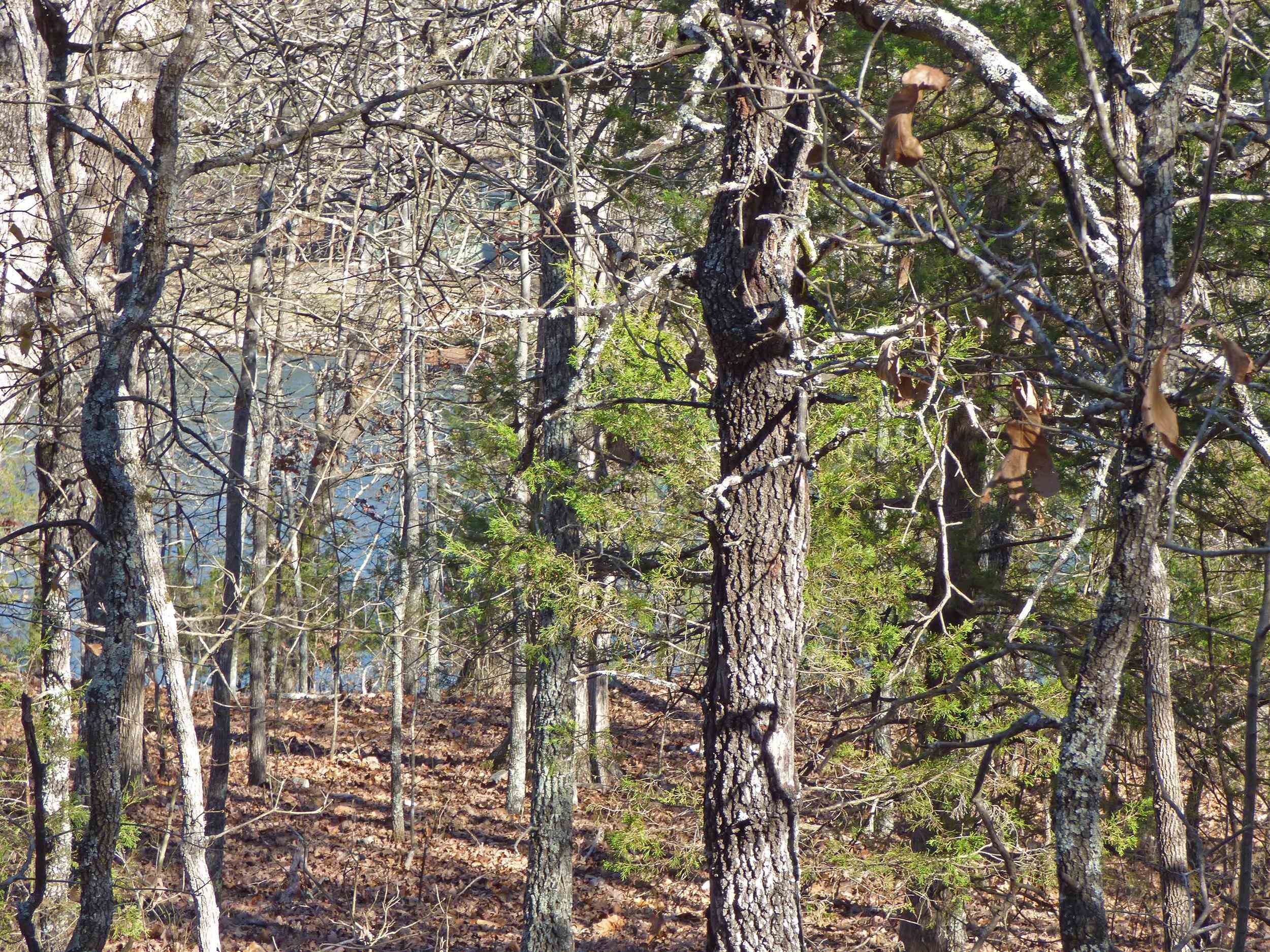 52  Isleta  Cherokee Village, AR