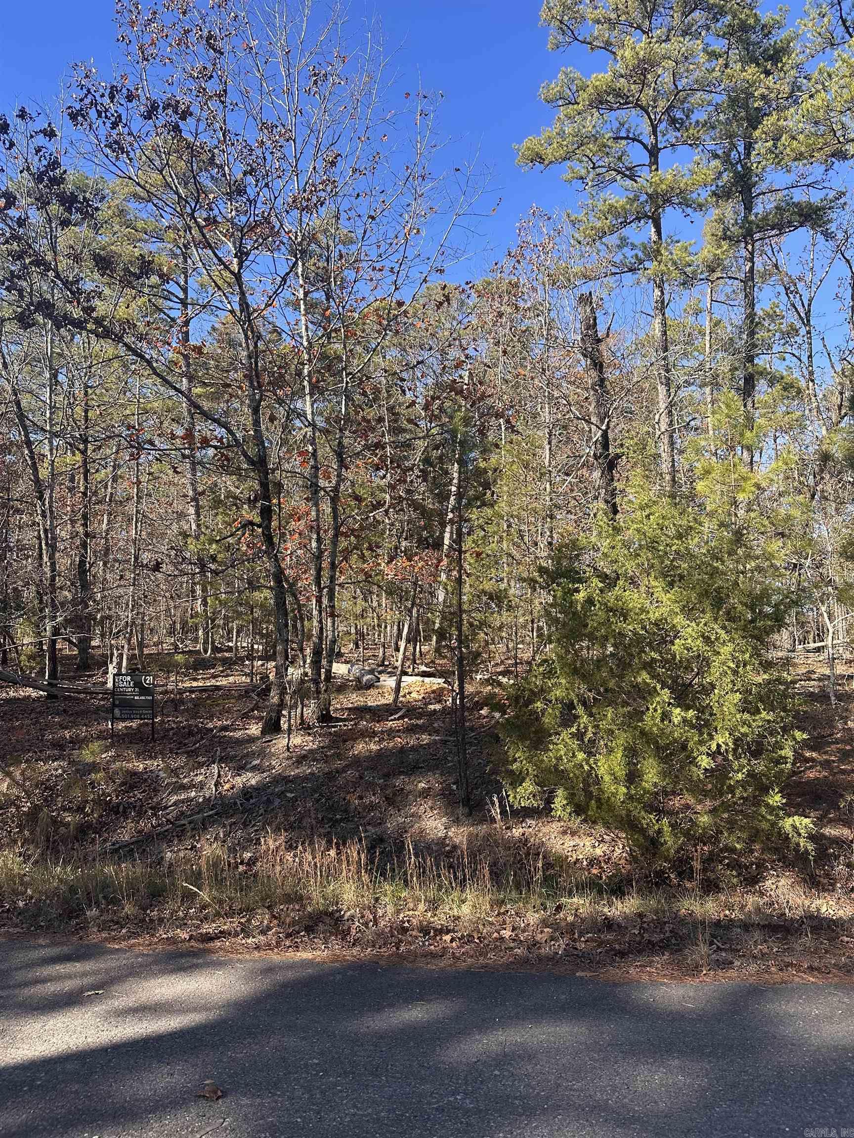 33  Baltanas Way  Hot Springs Village, AR