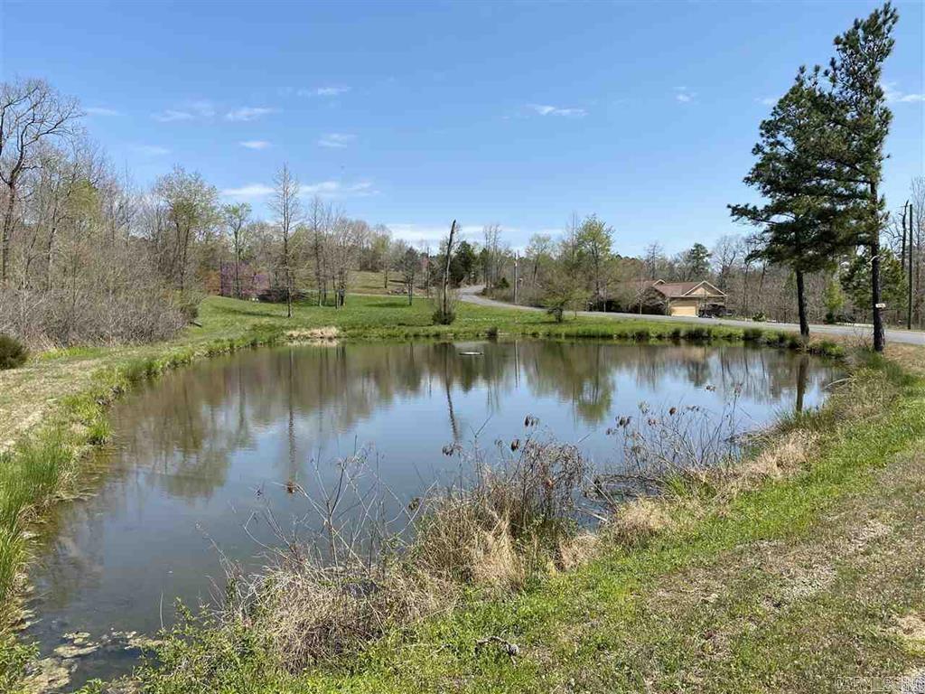 200  Natural Place  Royal, AR