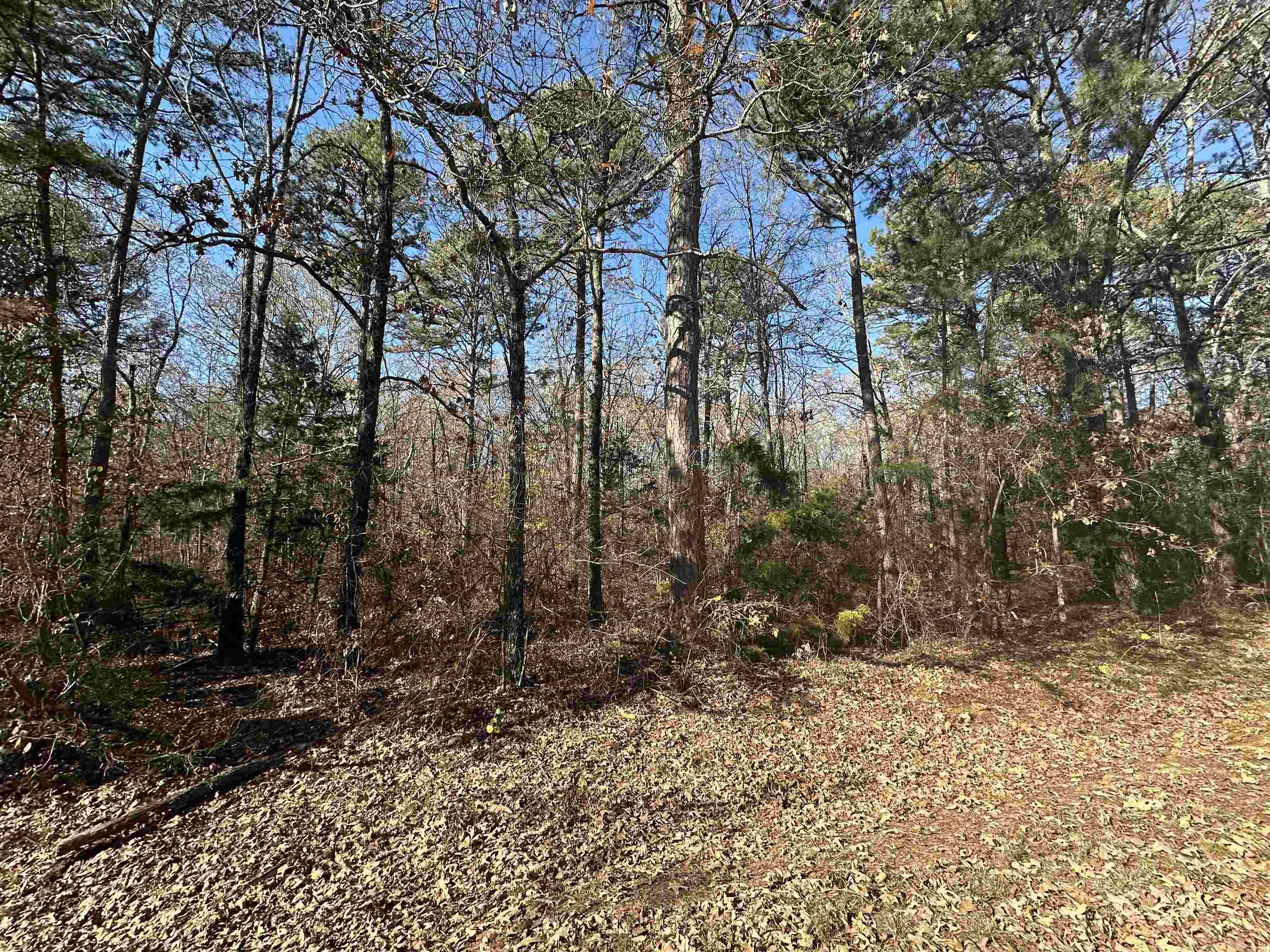 Lot 17  Woodland  Greers Ferry, AR