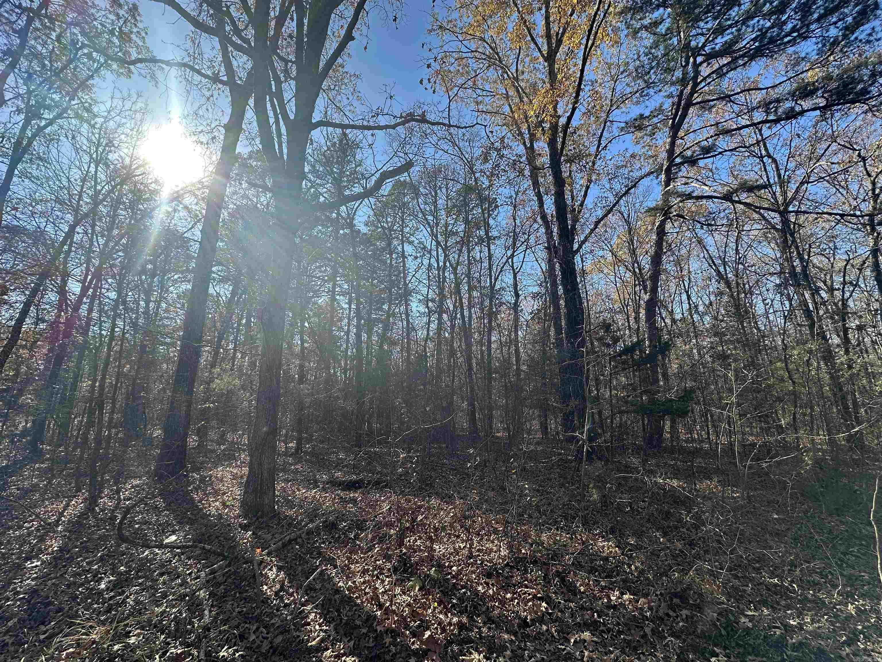 Lot 18  Woodland  Greers Ferry, AR