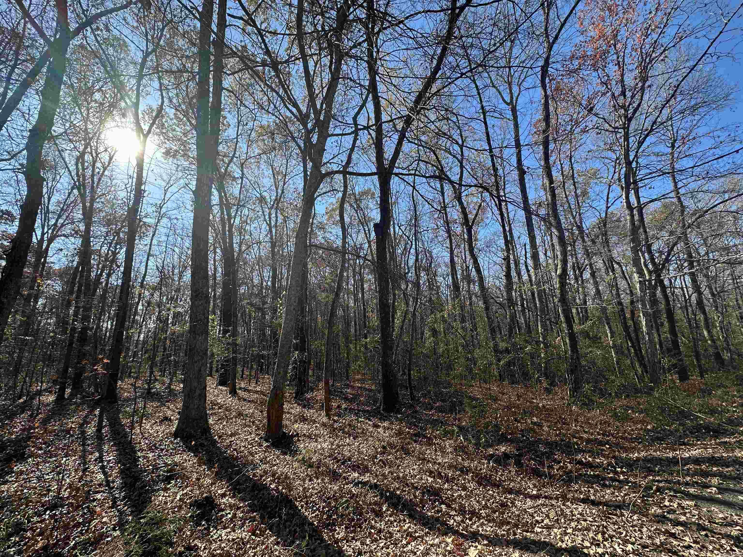 Lot 18  Woodland  Greers Ferry, AR