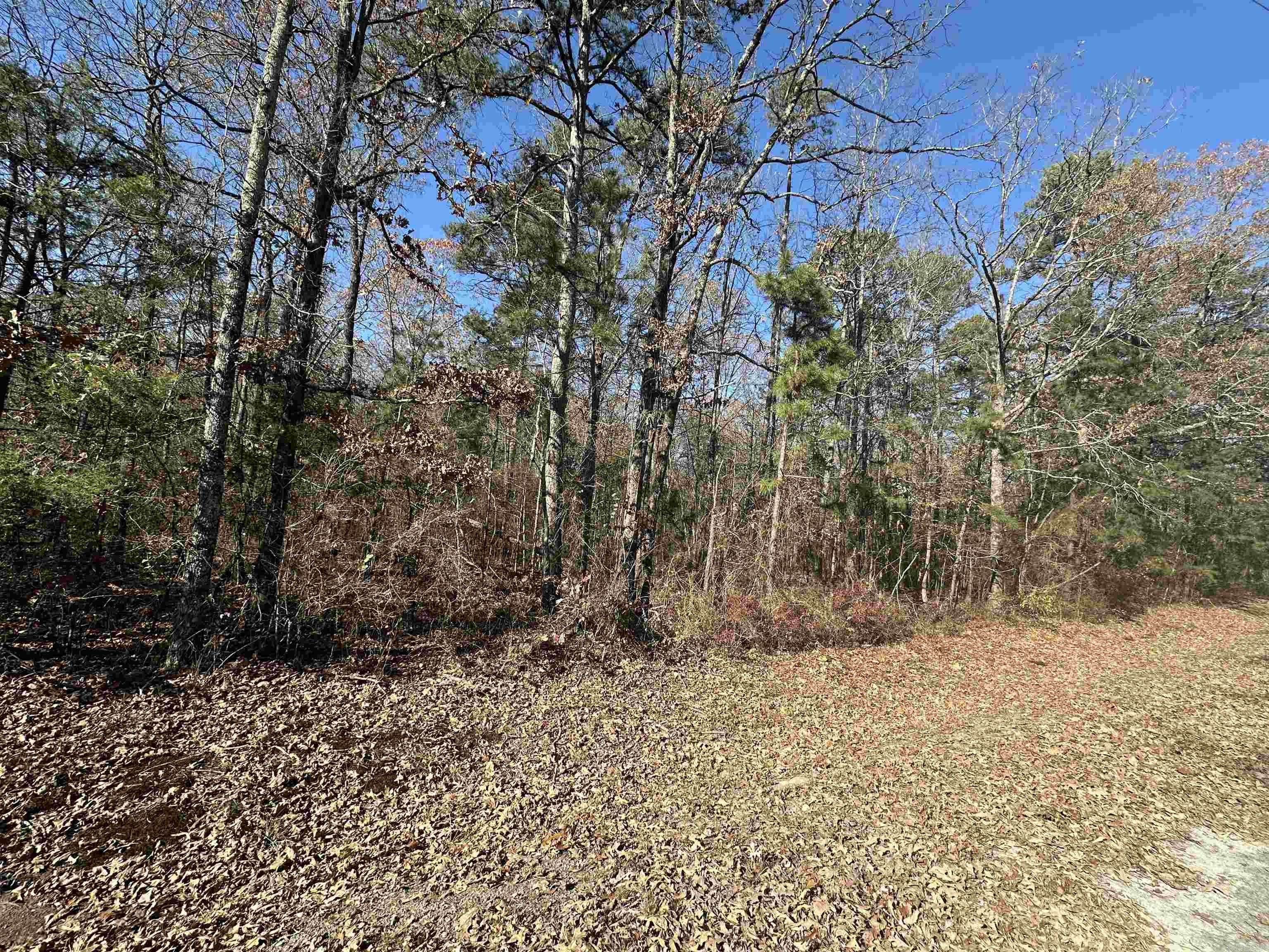 Lot 19  Woodland  Greers Ferry, AR