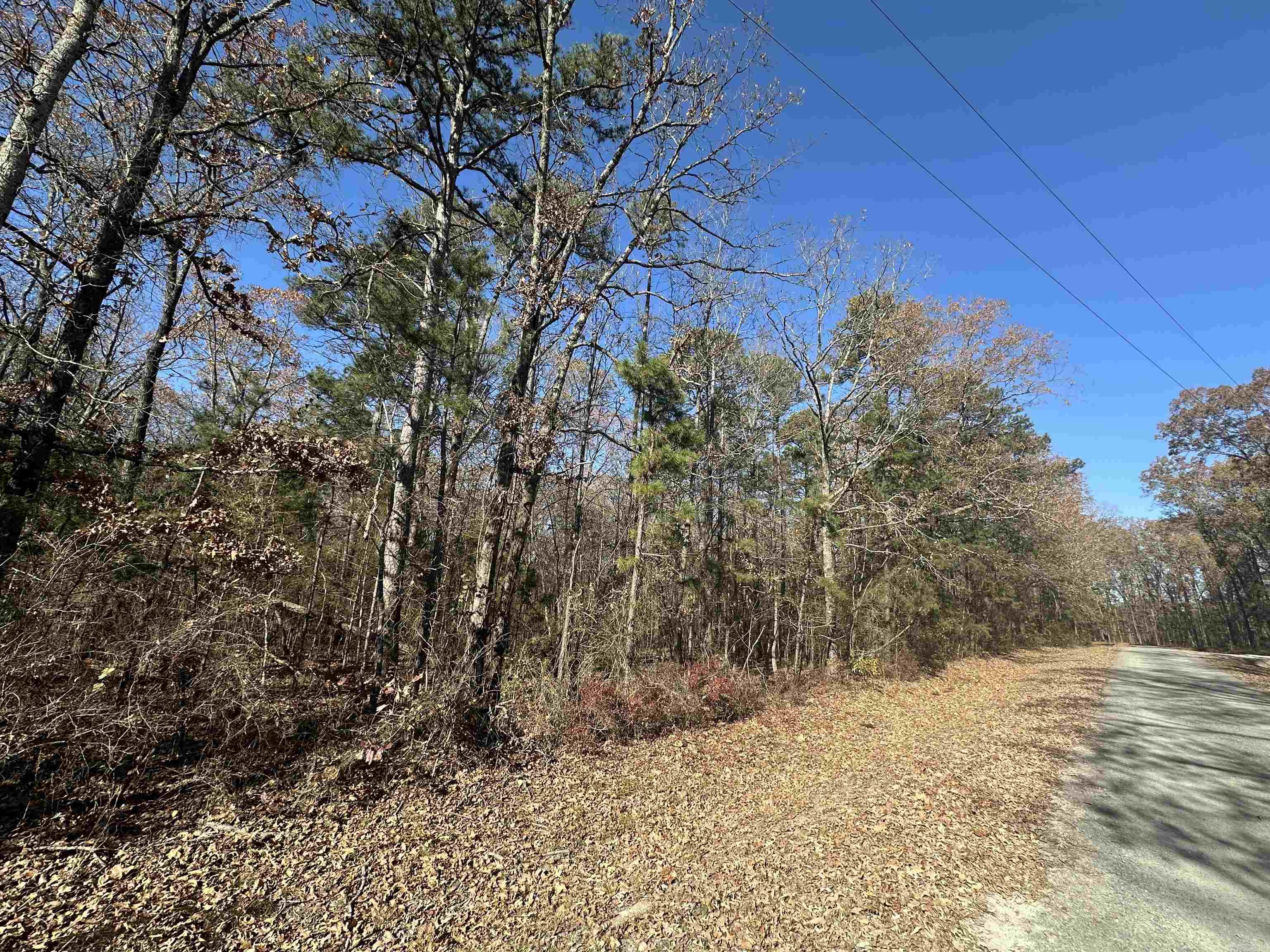 Lot 19  Woodland  Greers Ferry, AR