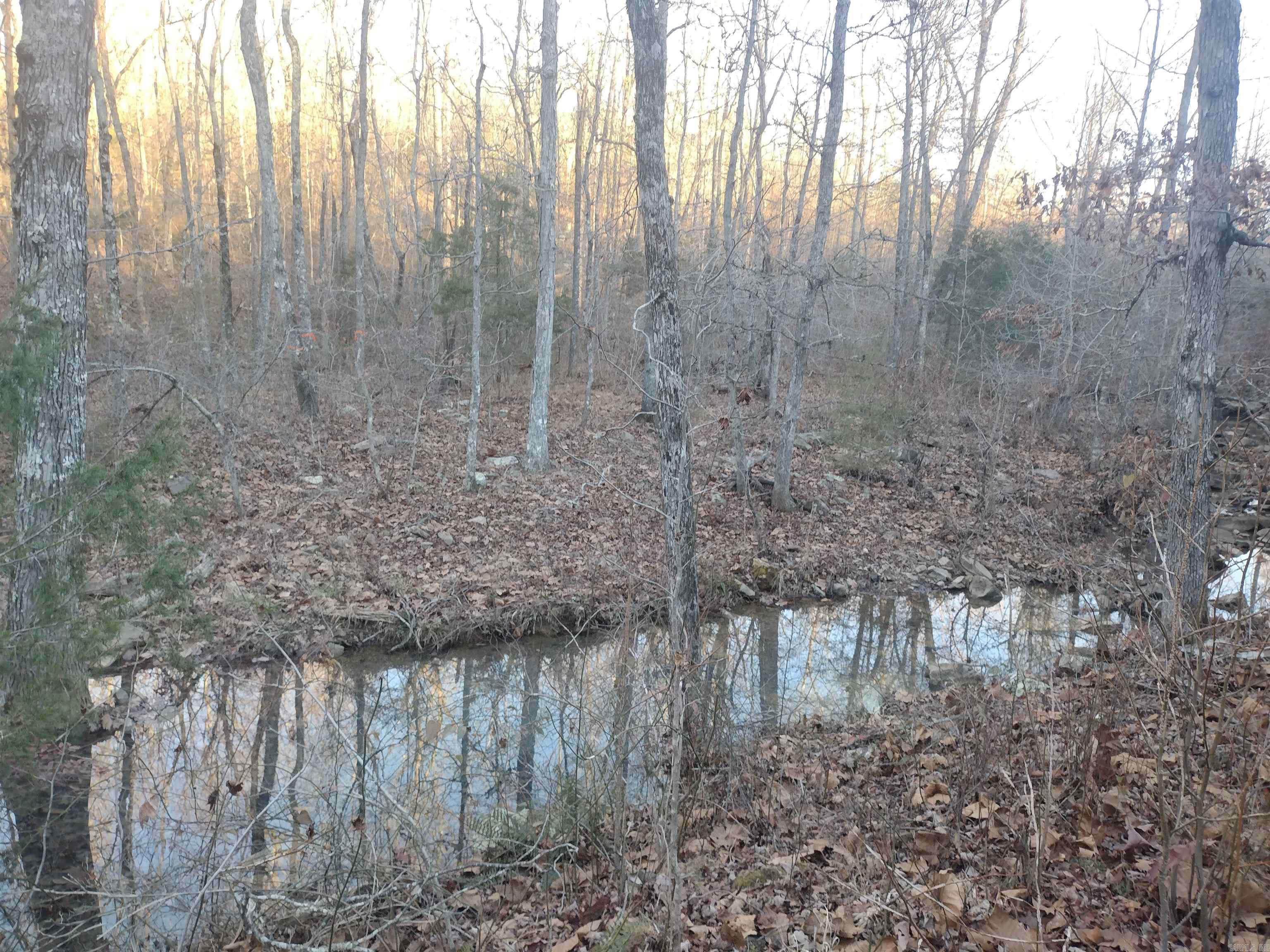 000  Monahan Road  Mountain View, AR
