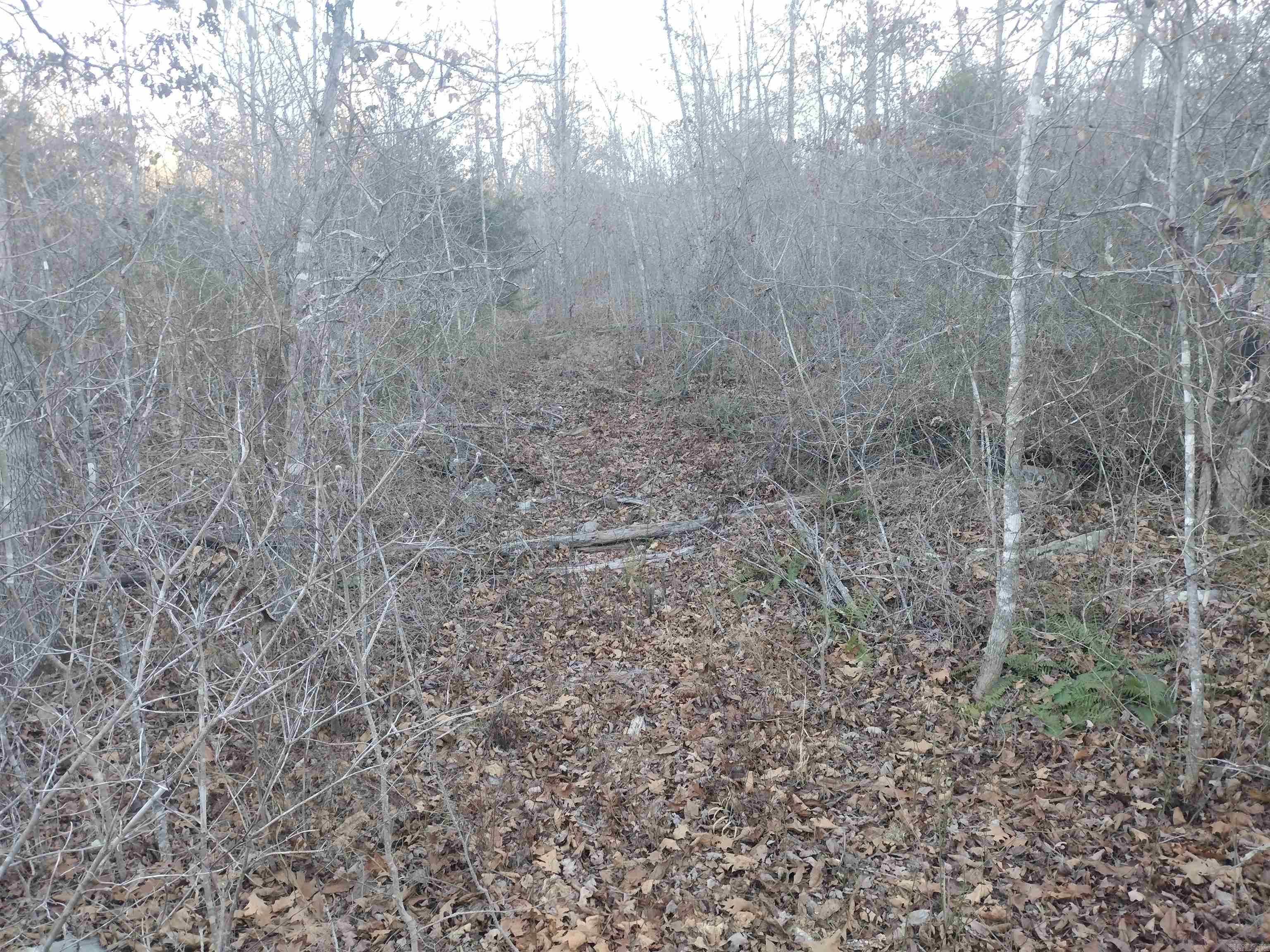 000  Monahan Road  Mountain View, AR
