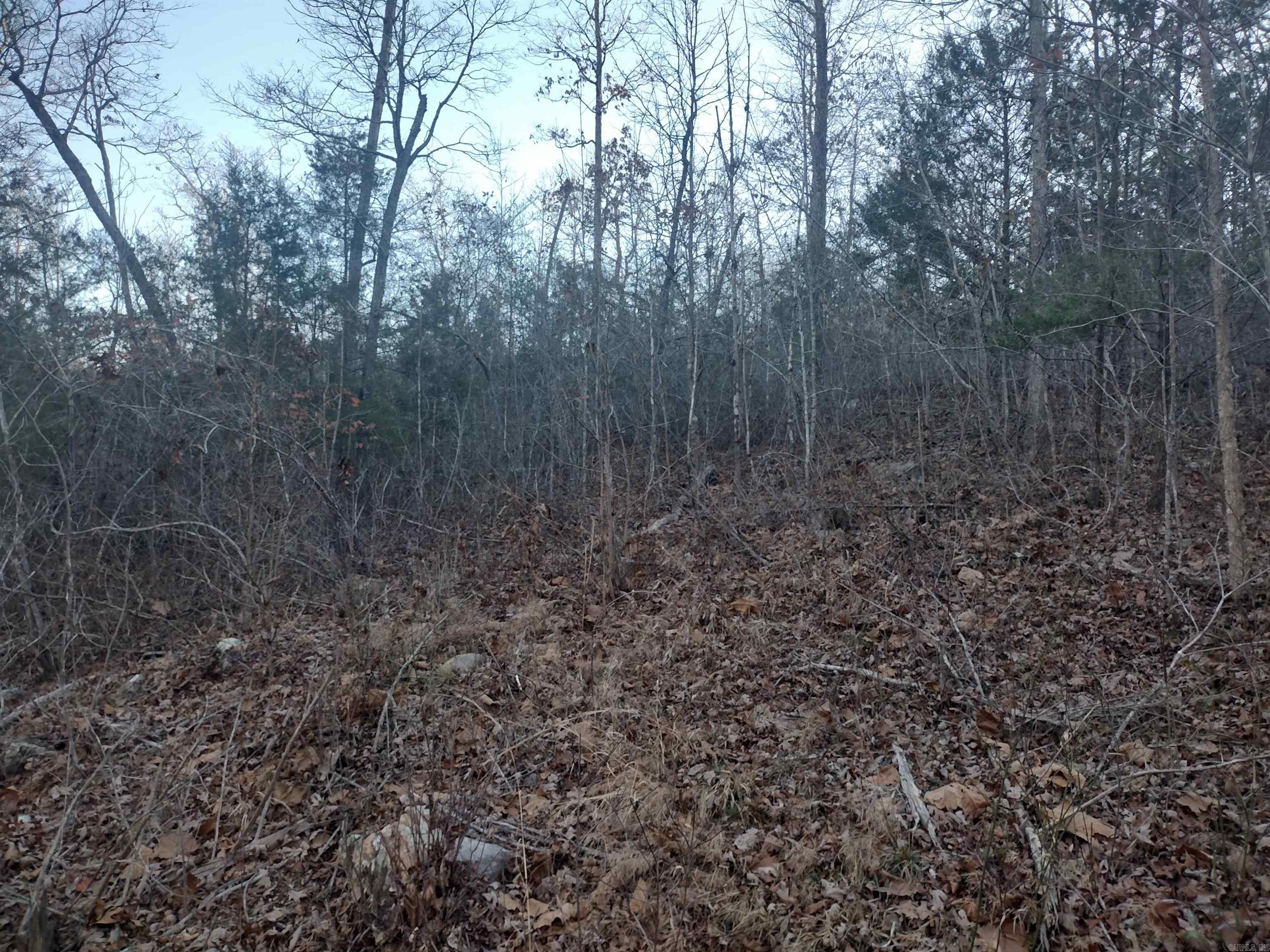 000  Monahan Road  Mountain View, AR