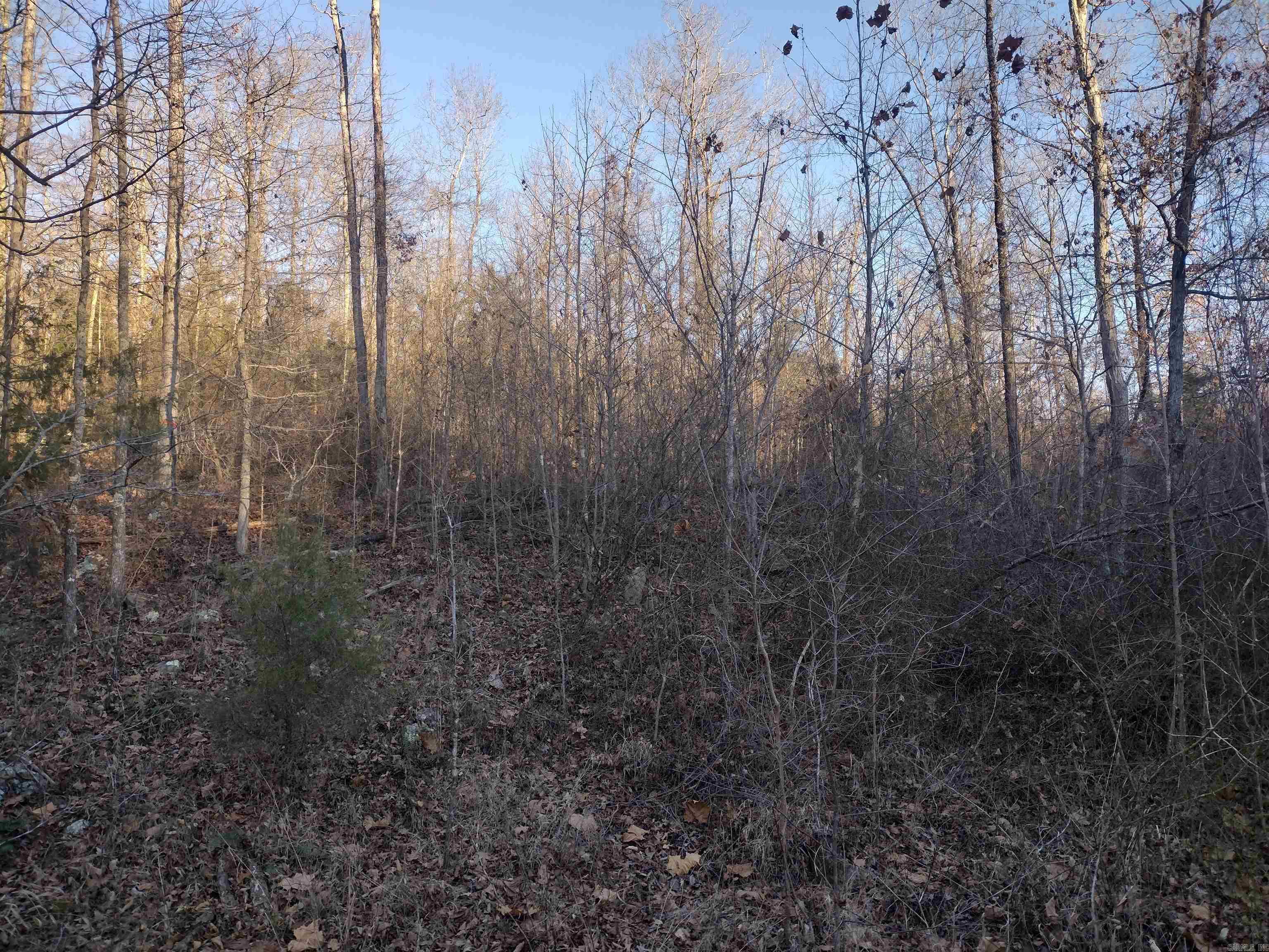 000  Monahan Road  Mountain View, AR
