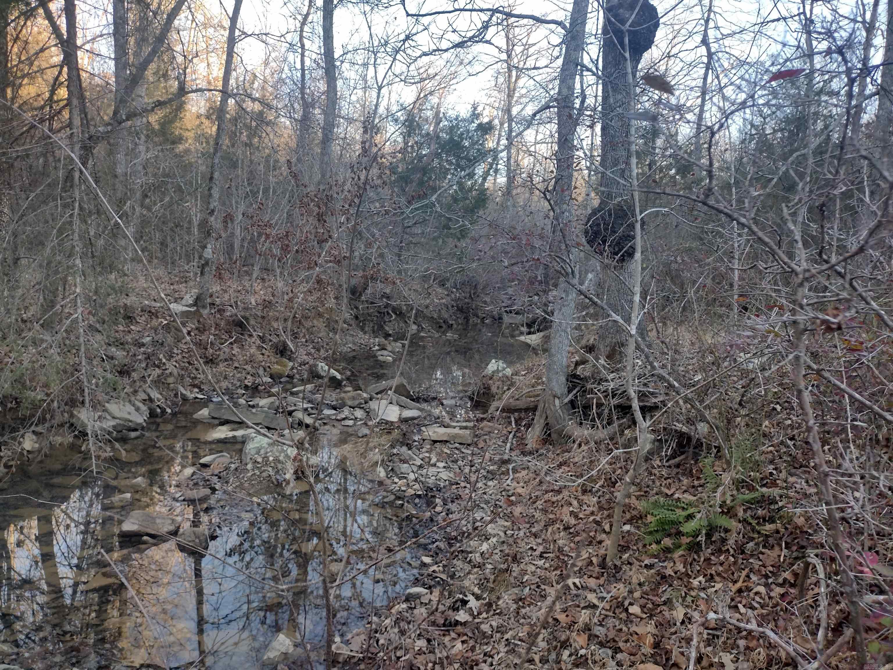 000  Monahan Road  Mountain View, AR