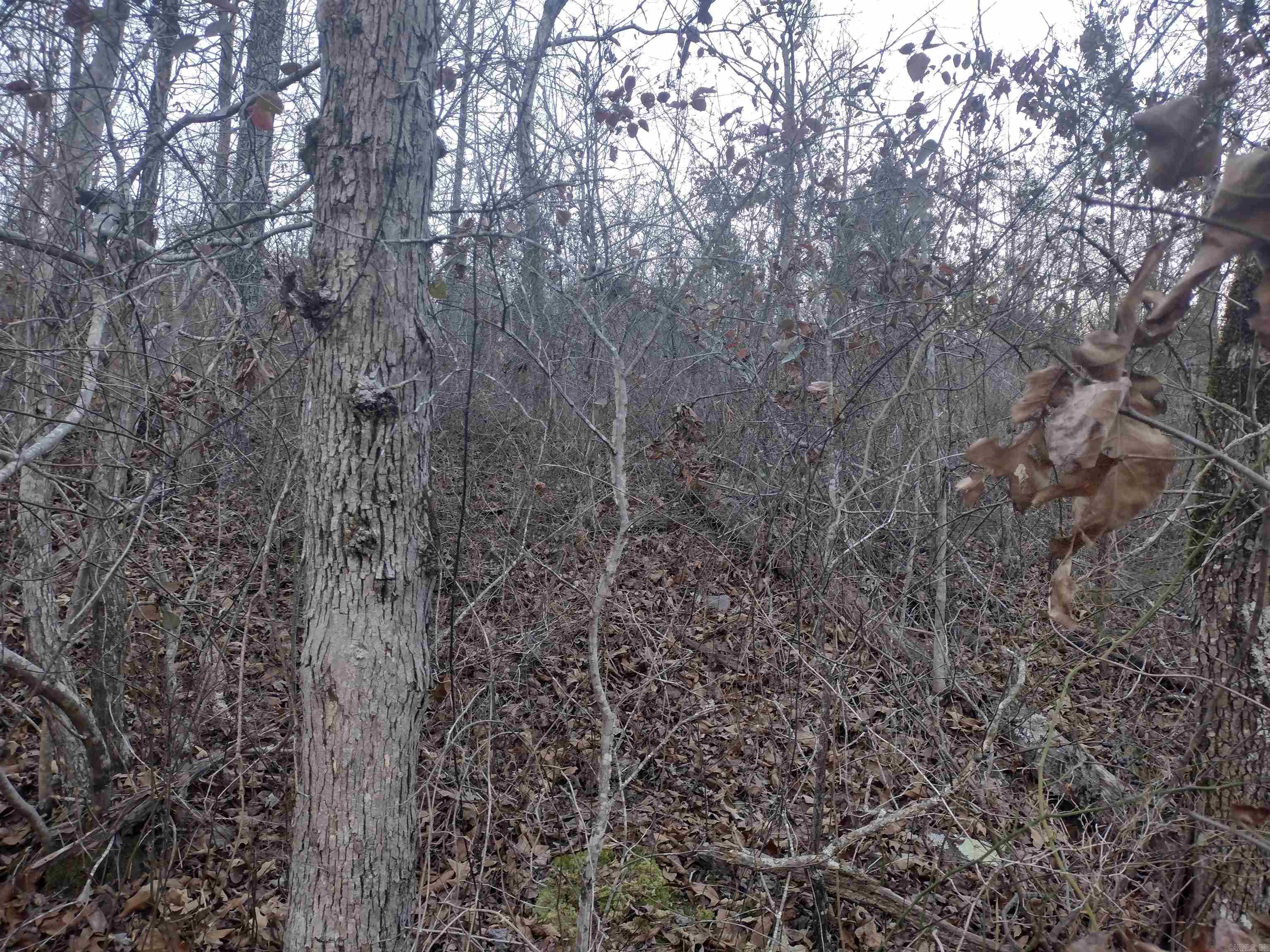 000  Monahan Road  Mountain View, AR