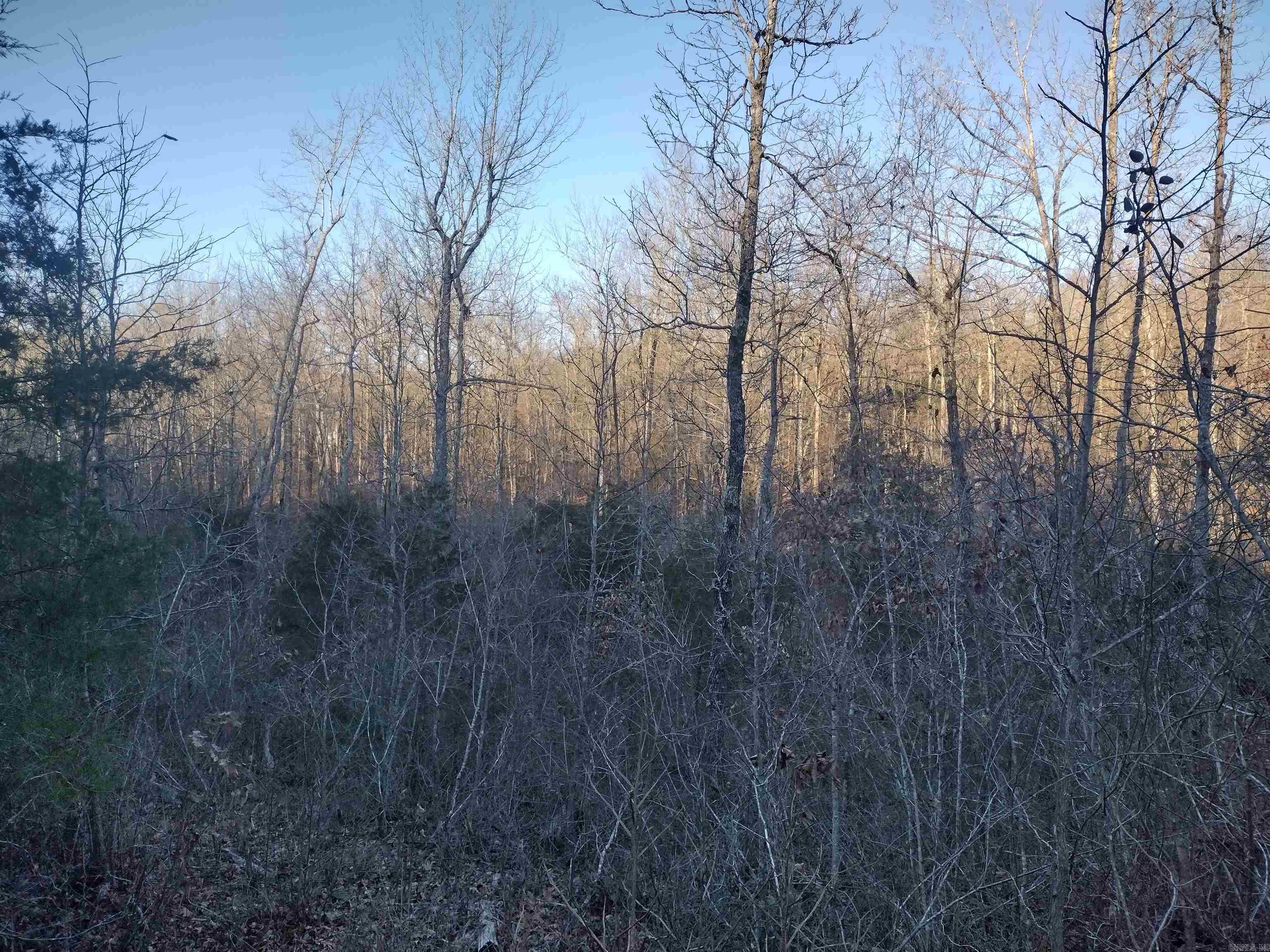 000  Monahan Road  Mountain View, AR