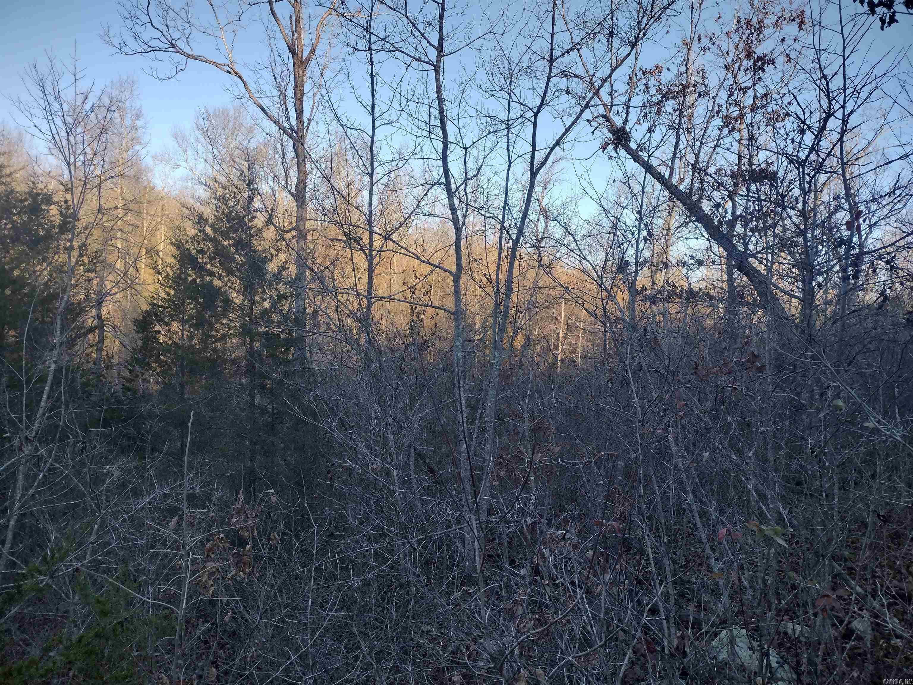 000  Monahan Road  Mountain View, AR