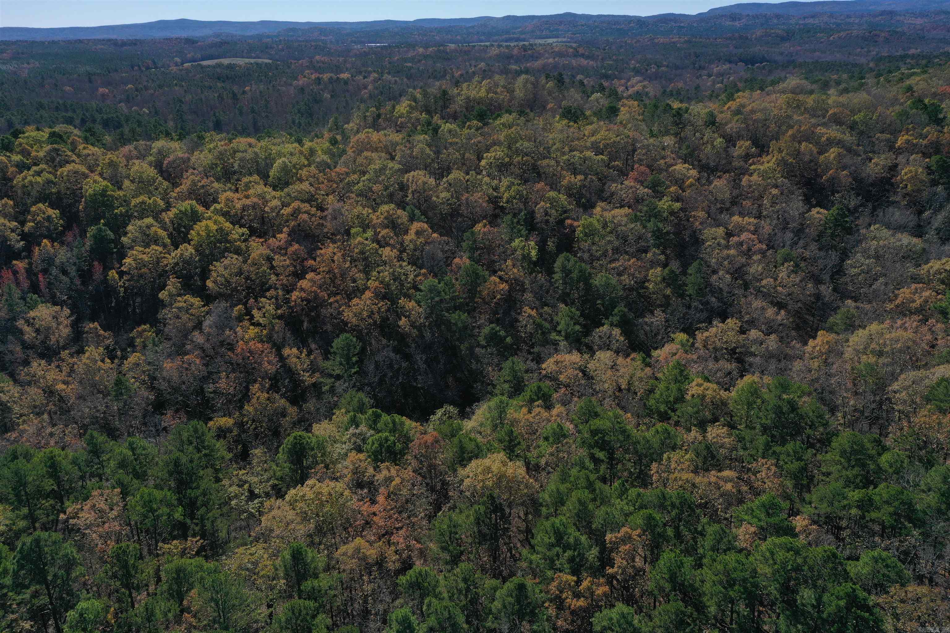 287  Granville Lane  Mount Ida, AR