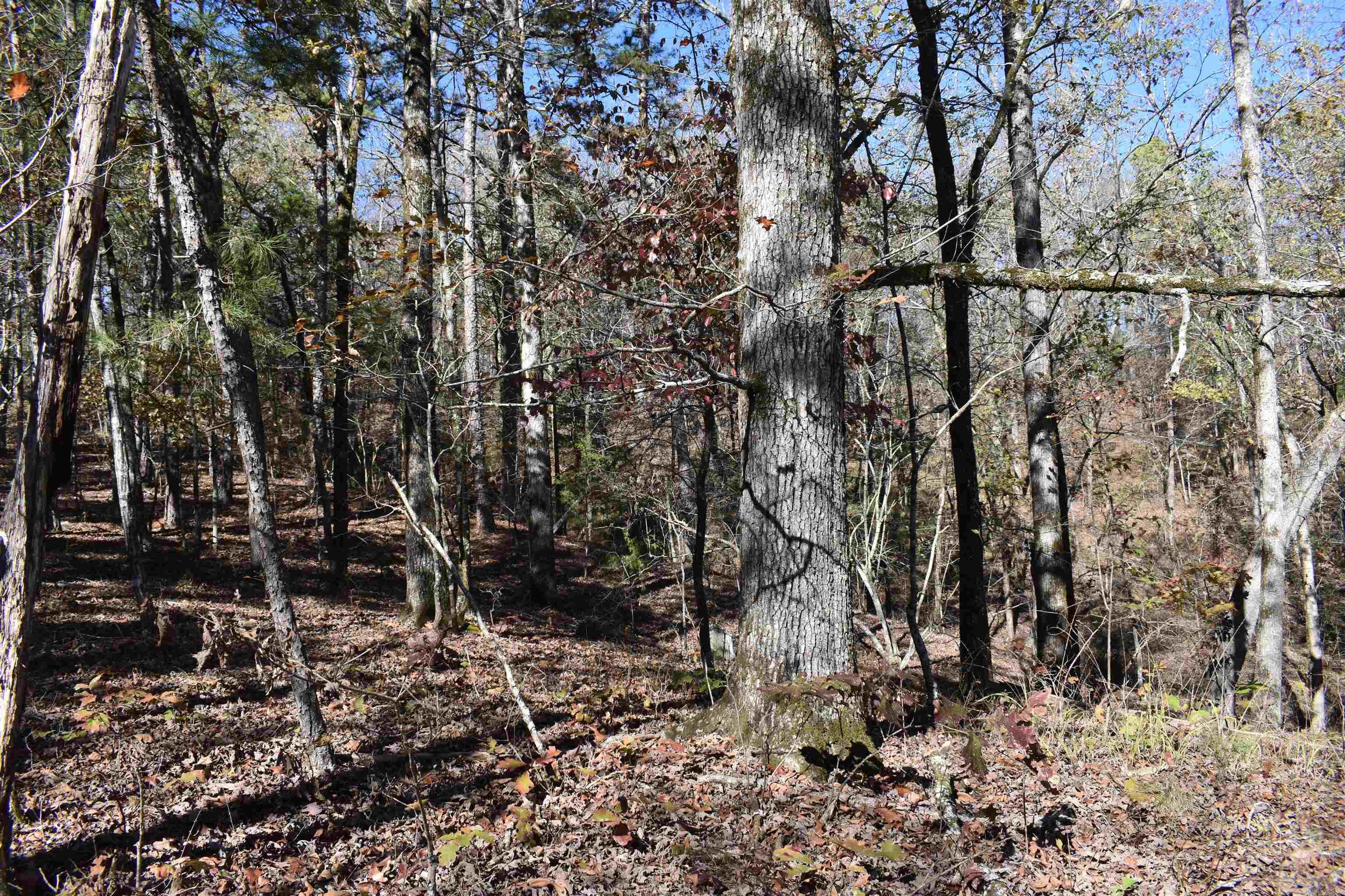 287  Granville Lane  Mount Ida, AR
