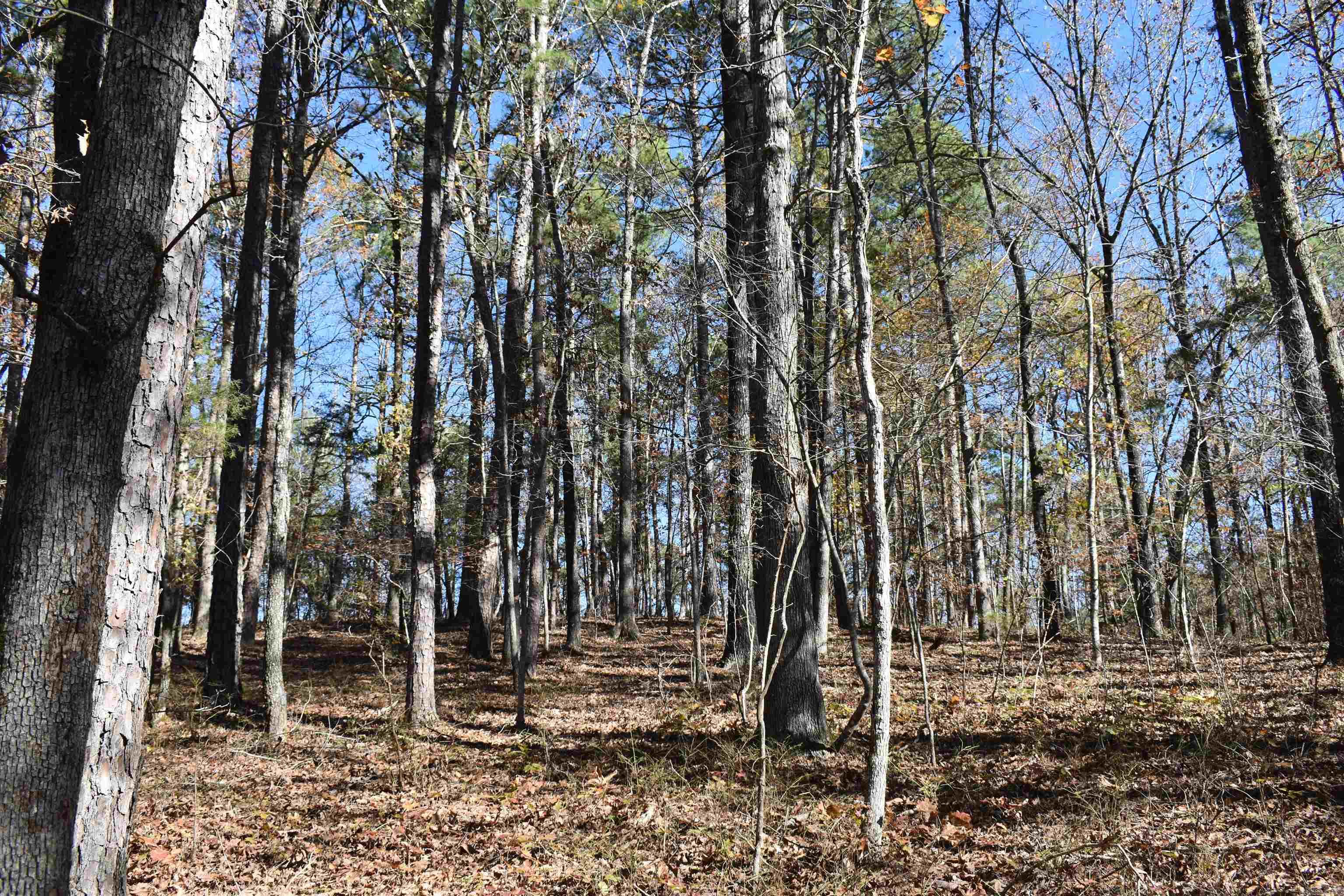 287  Granville Lane  Mount Ida, AR