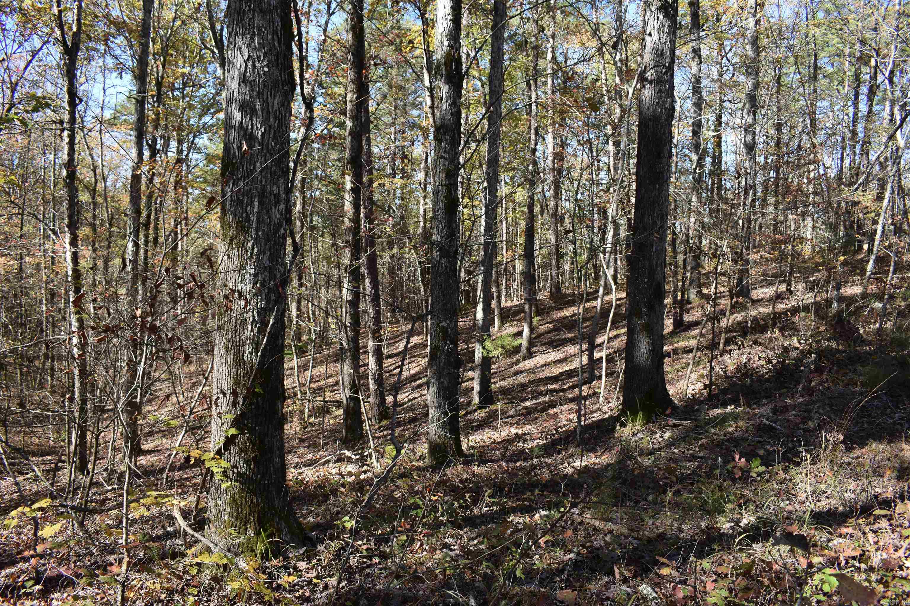 287  Granville Lane  Mount Ida, AR