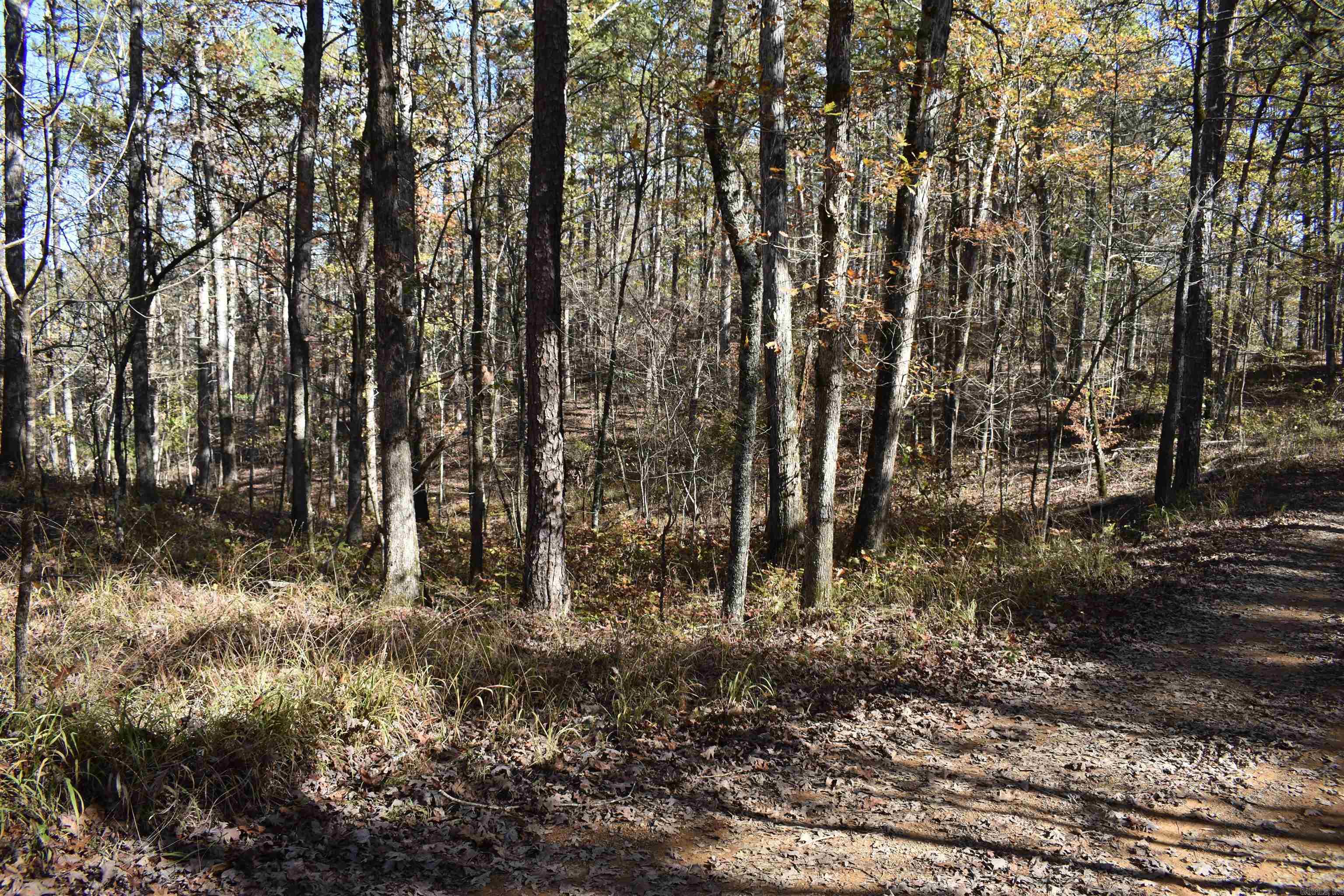 287  Granville Lane  Mount Ida, AR