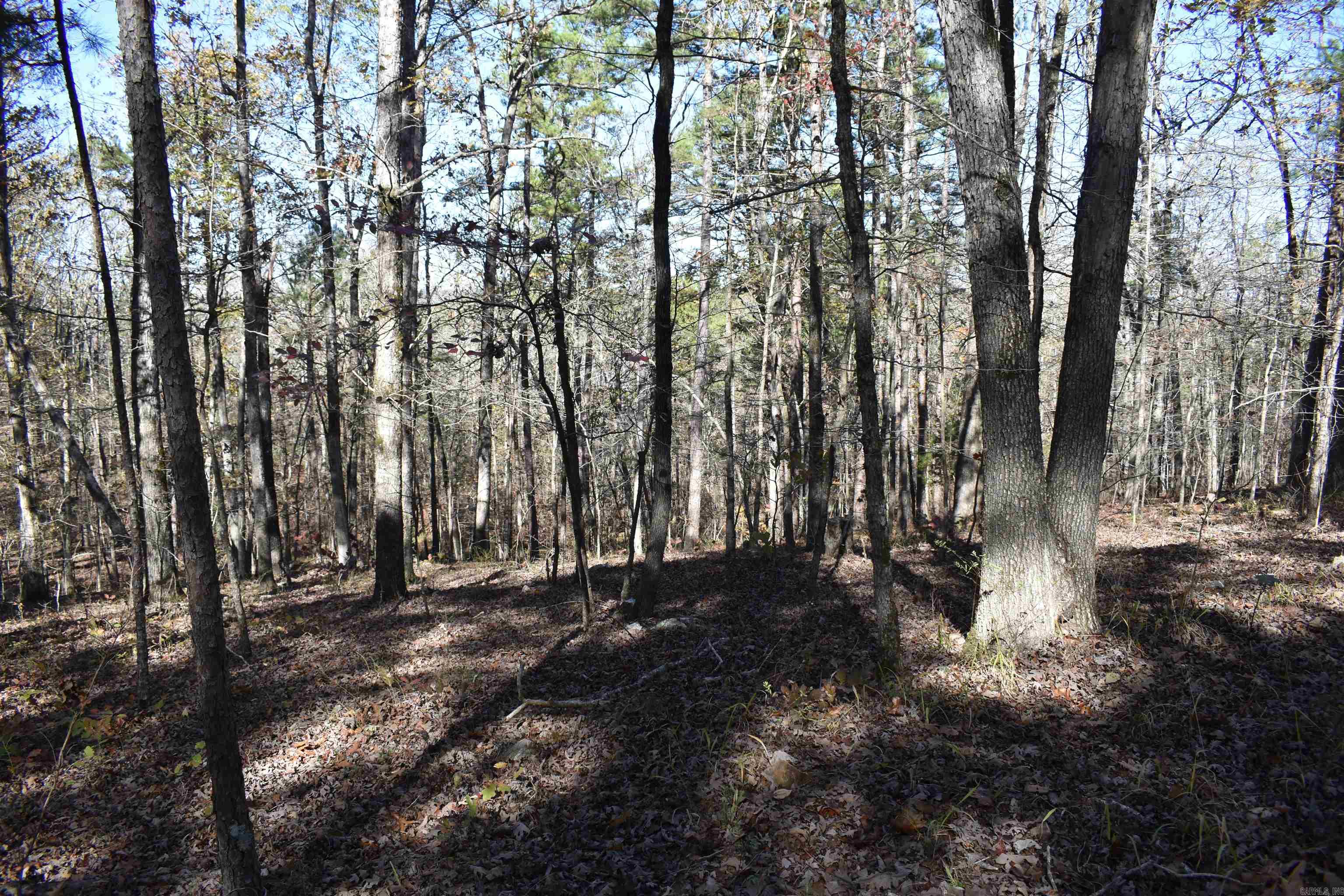 287  Granville Lane  Mount Ida, AR