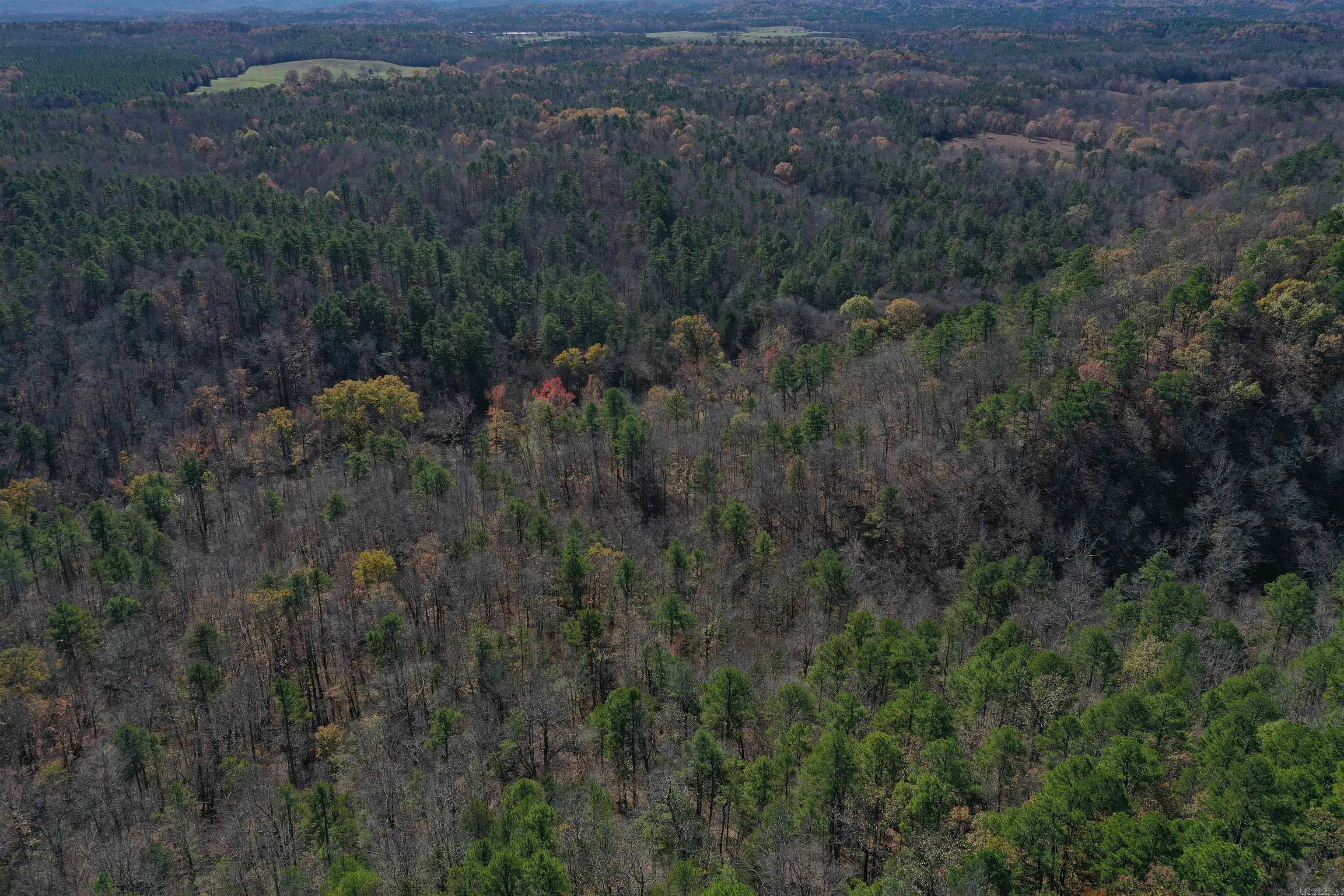 287  Granville Lane  Mount Ida, AR