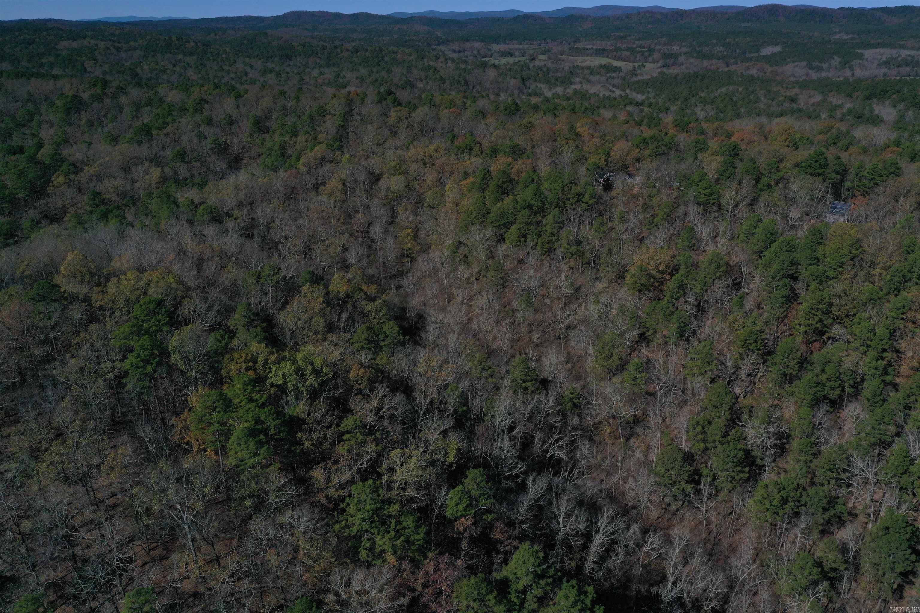287  Granville Lane  Mount Ida, AR